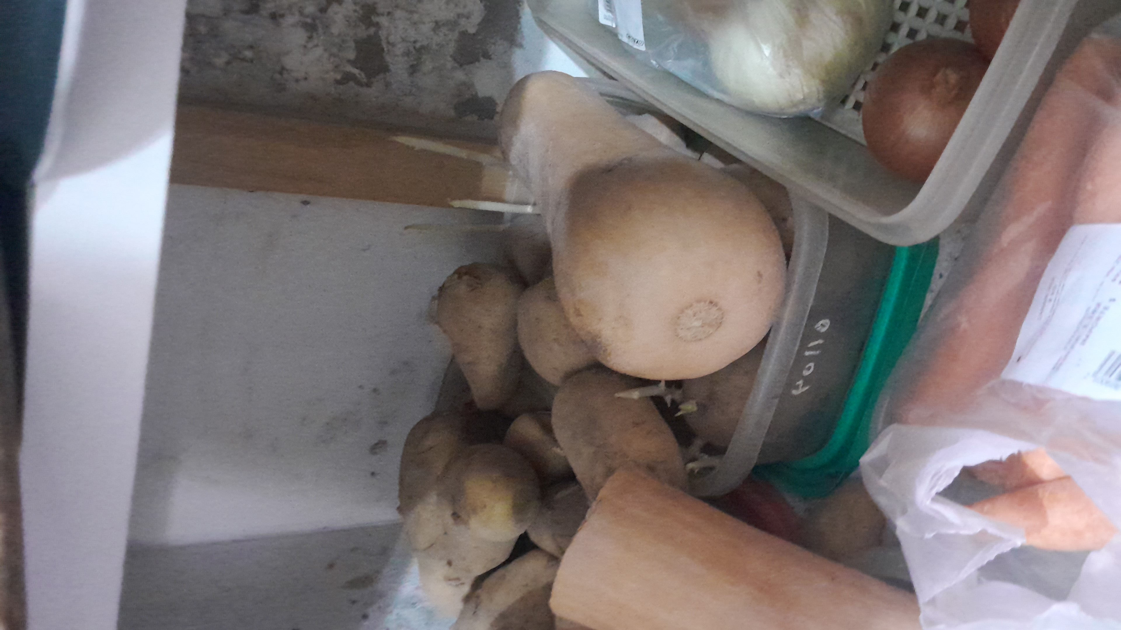 IMG-20251027-WA0052.jpeg