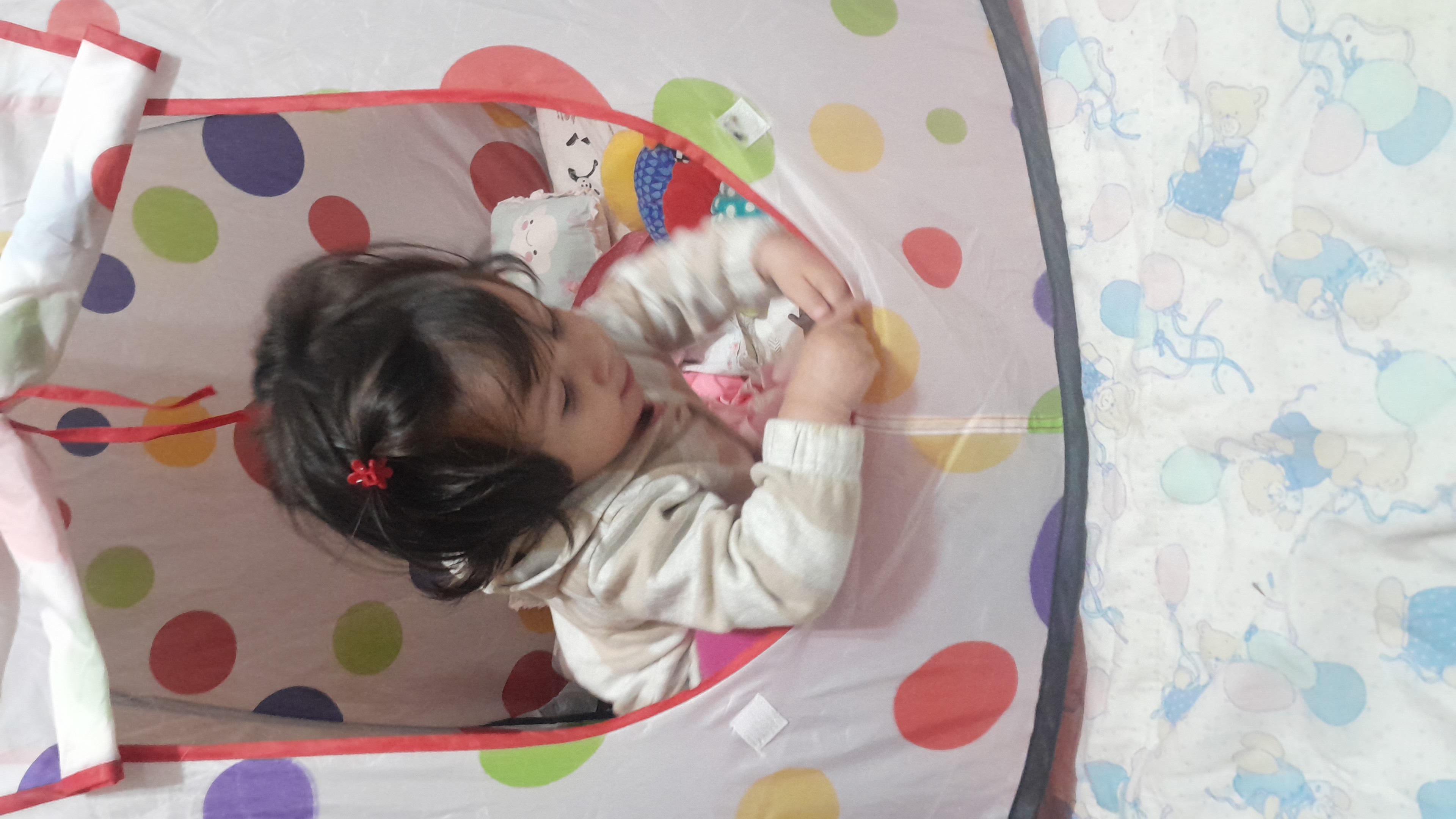IMG-20251027-WA0107.jpeg