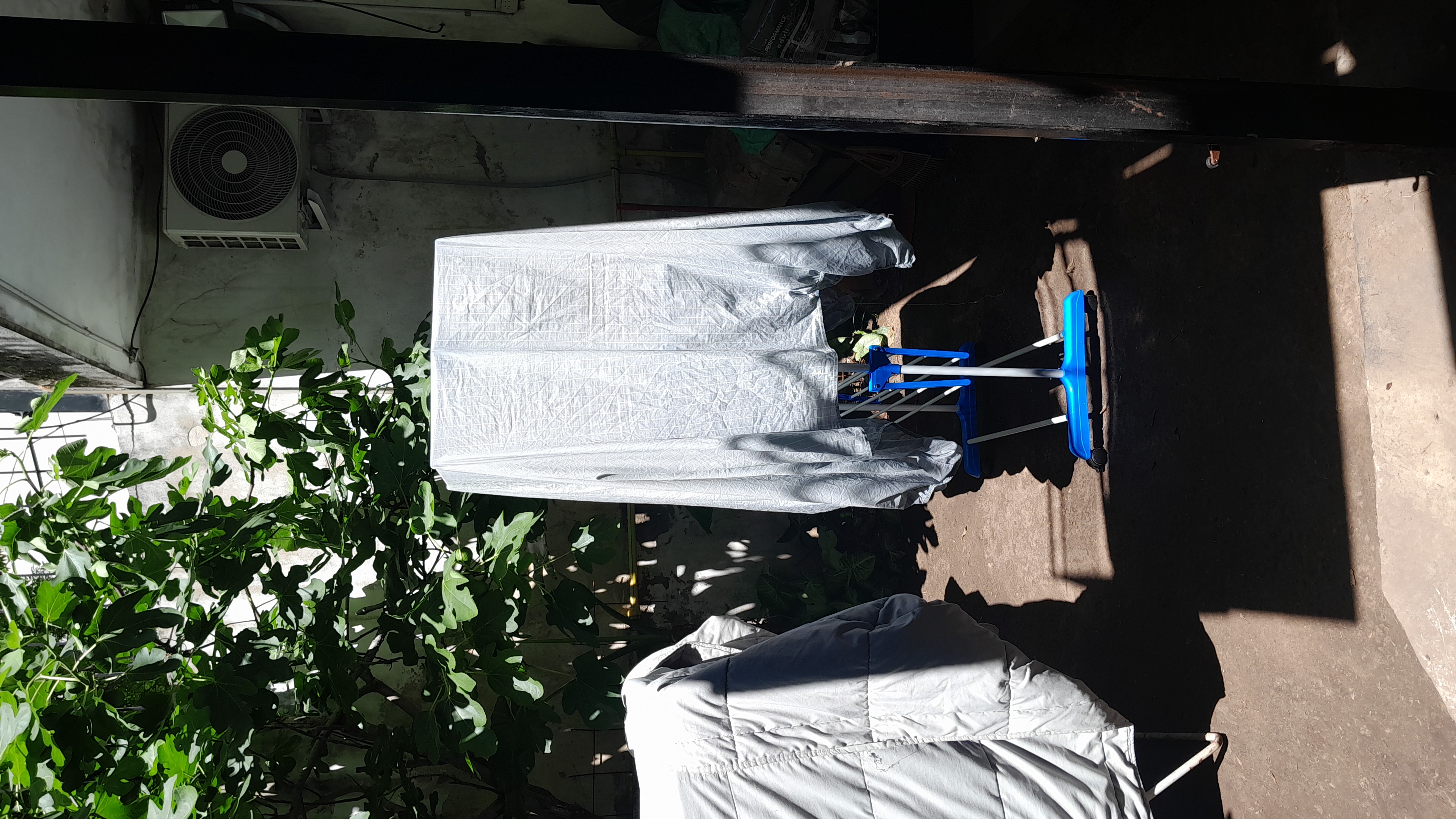 IMG-20251030-WA0012.jpeg
