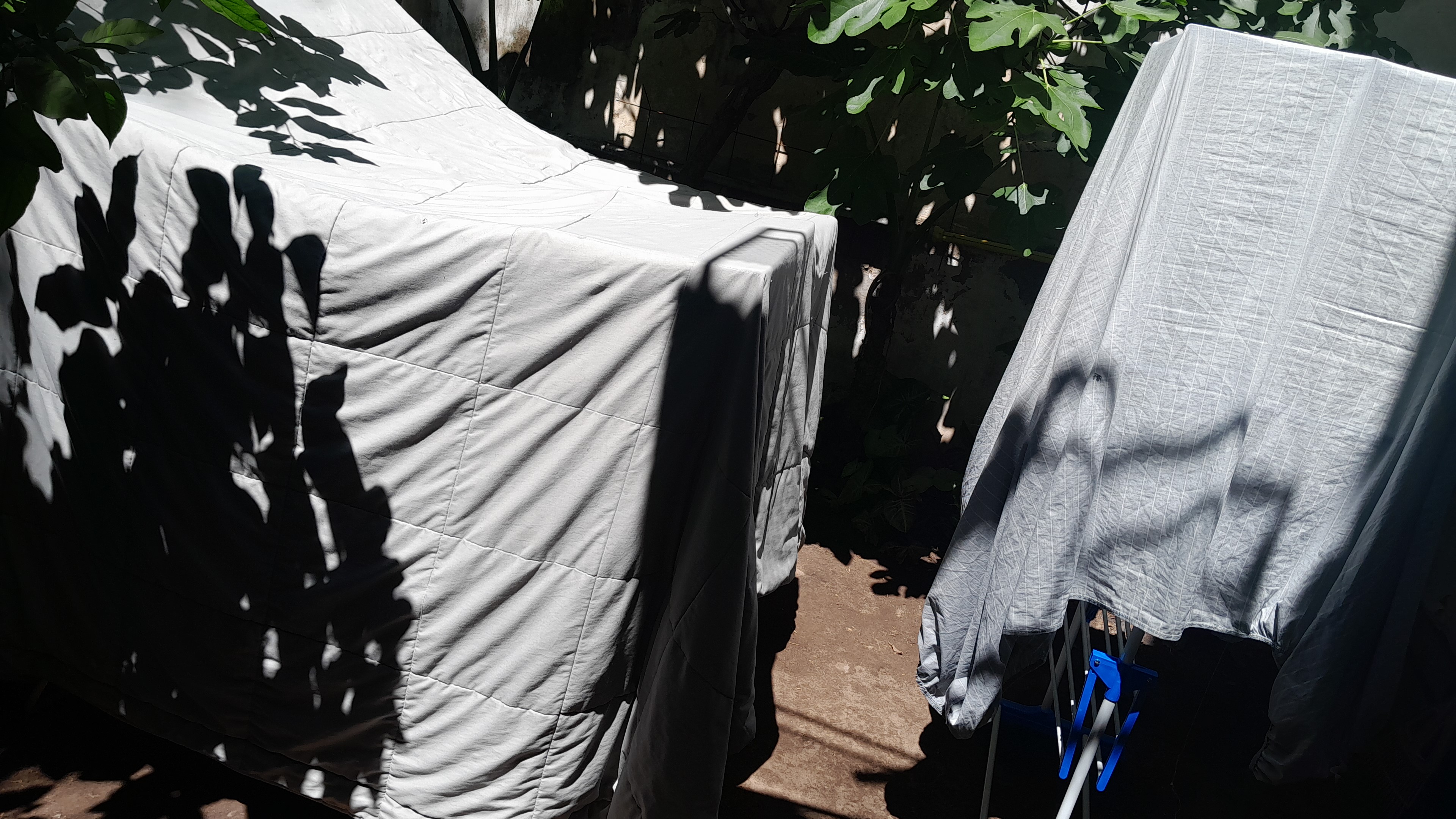 IMG-20251030-WA0014.jpeg