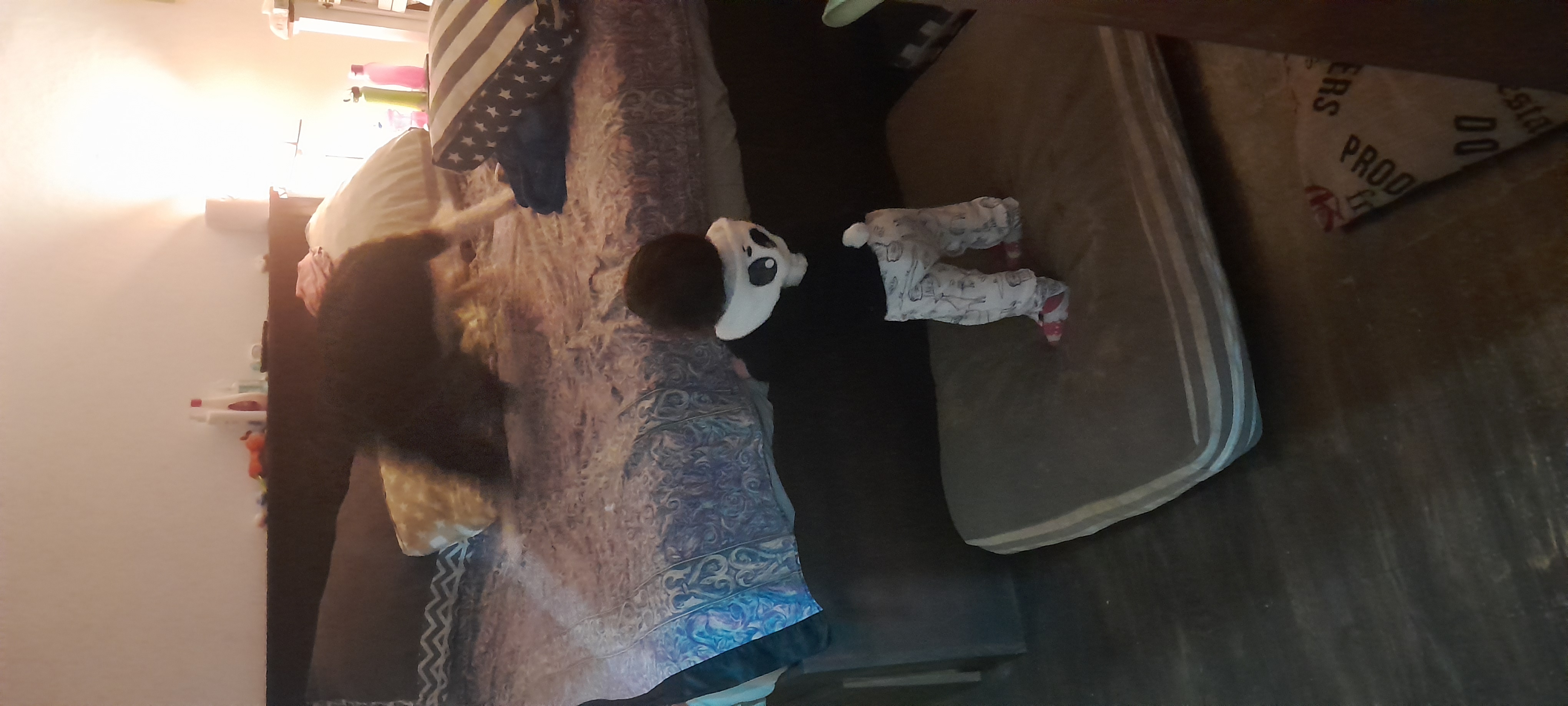 20250904_200902.jpg