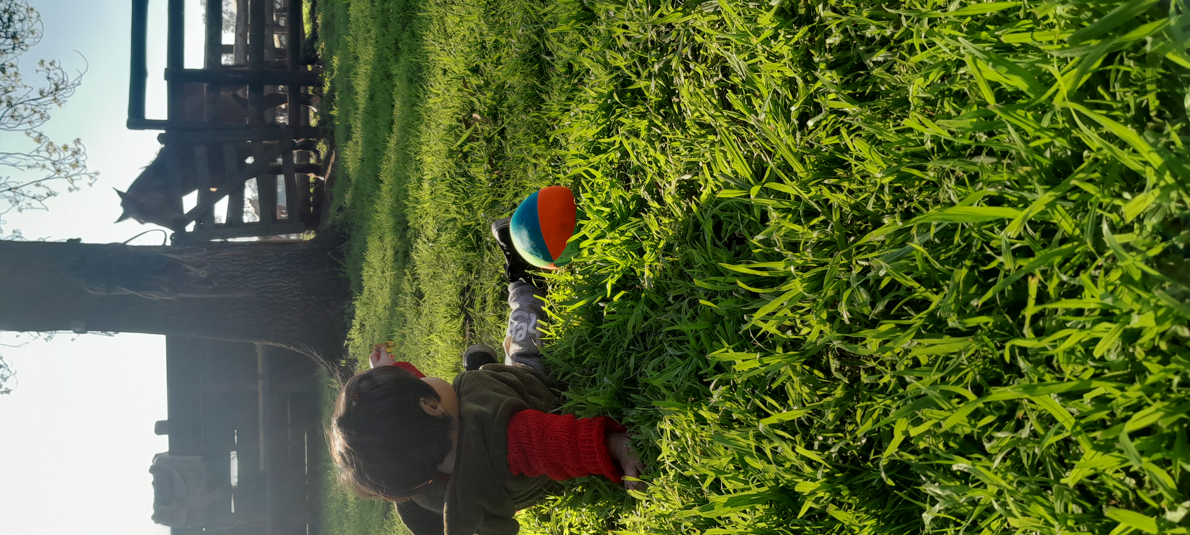 20250906_162551.jpg