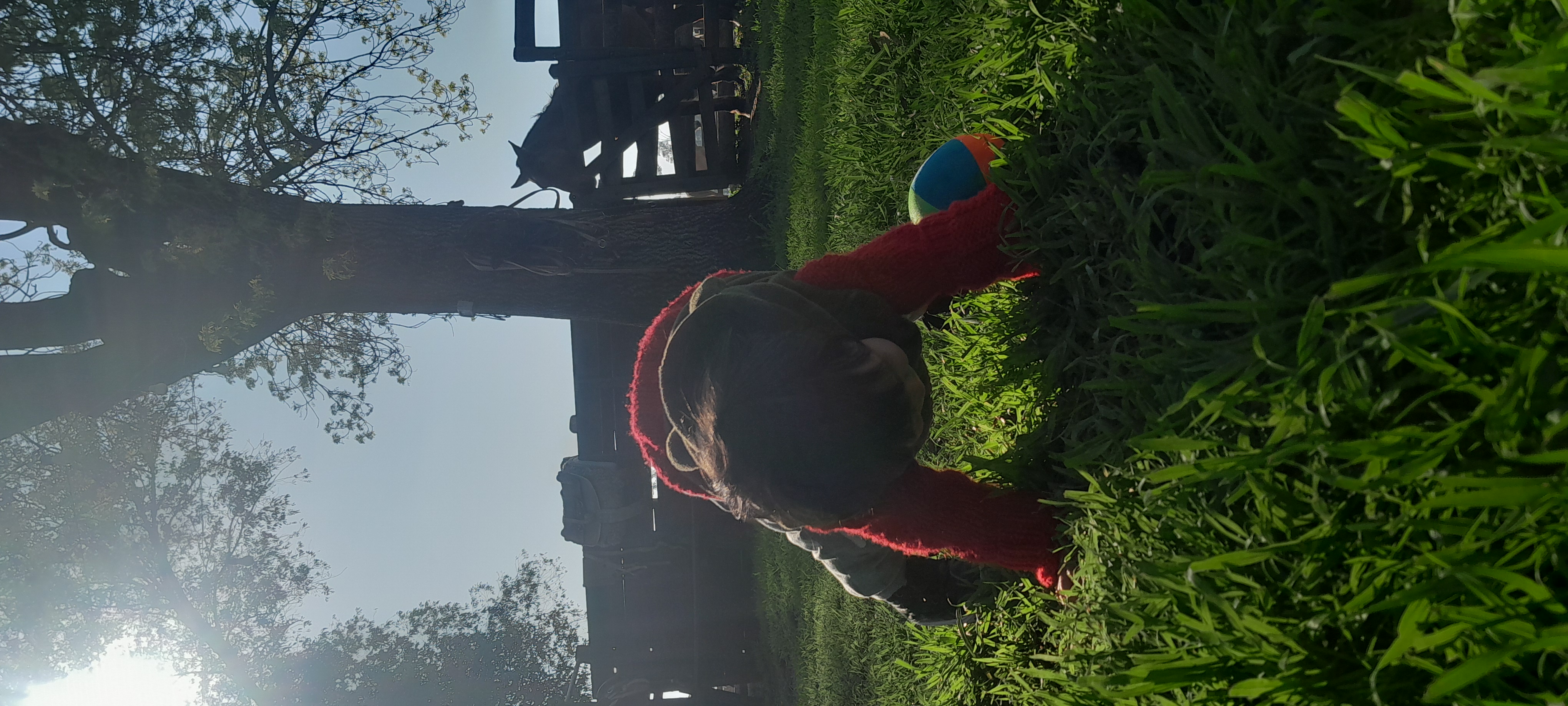 20250906_162600.jpg