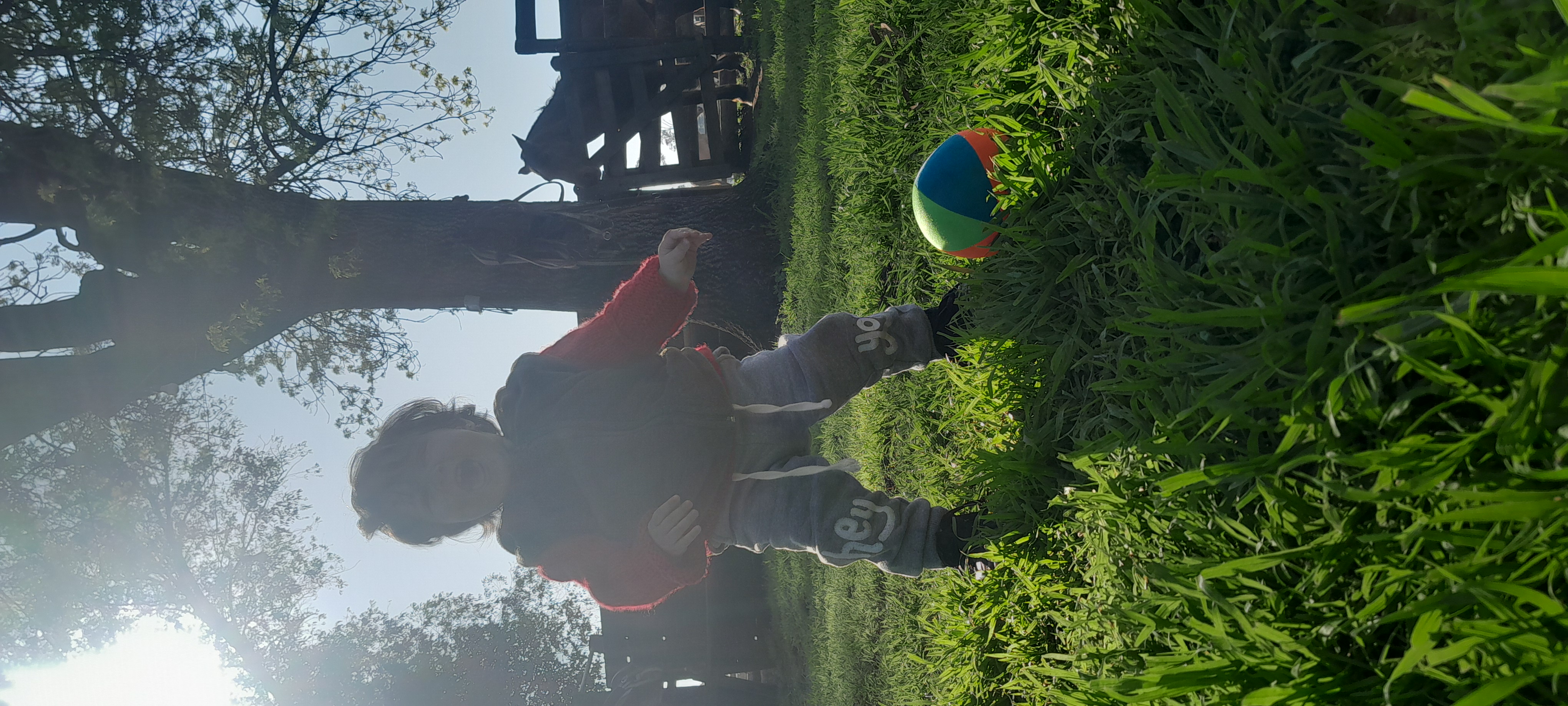 20250906_162605.jpg