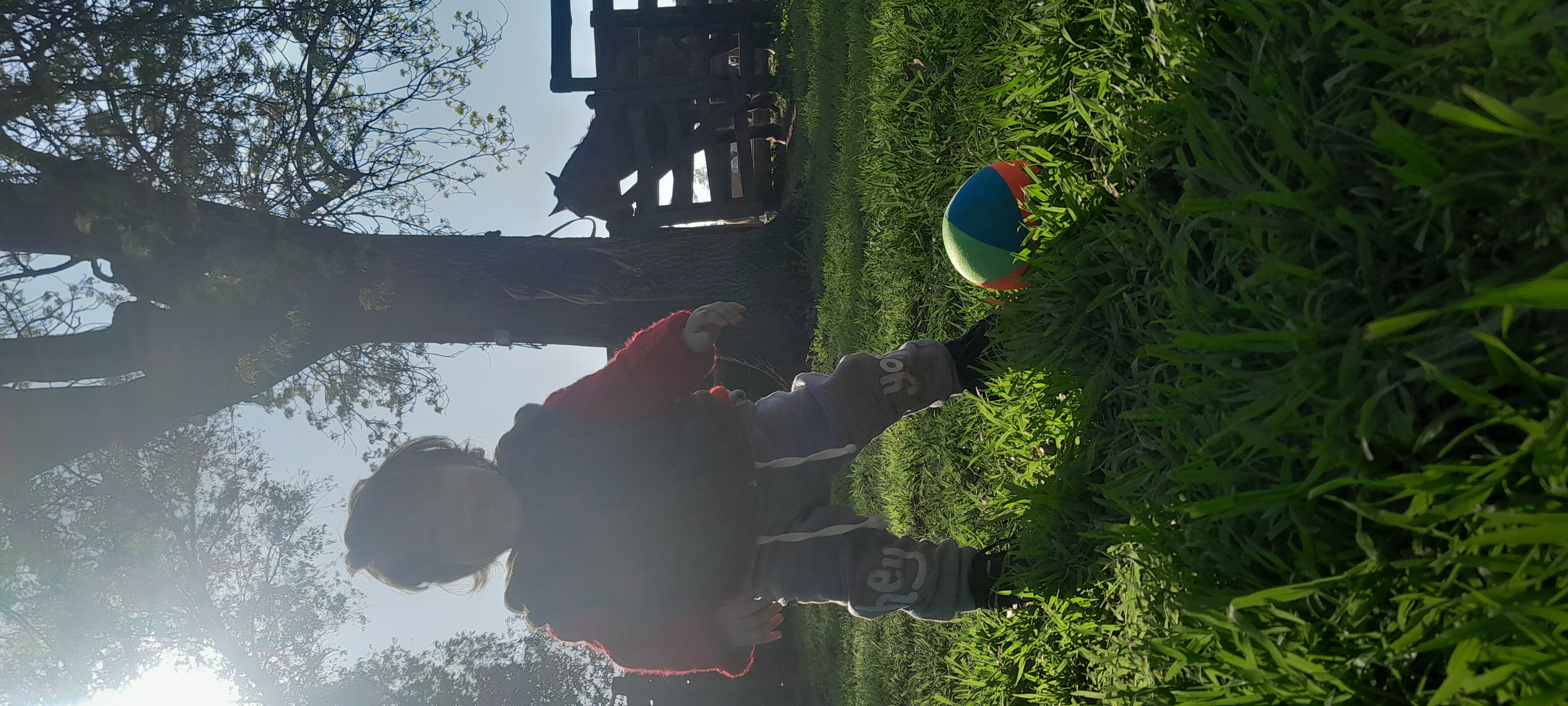 20250906_162606.jpg