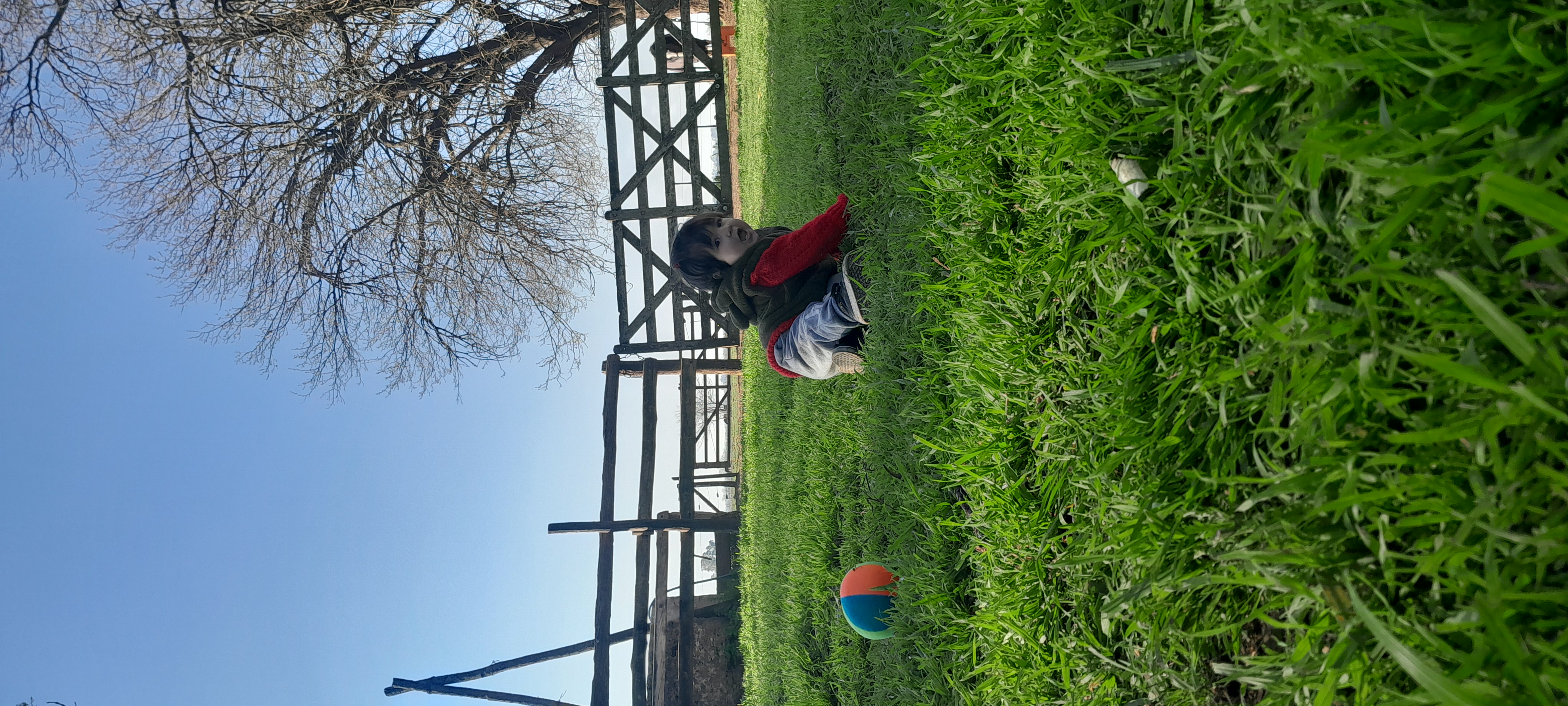 20250906_162733.jpg