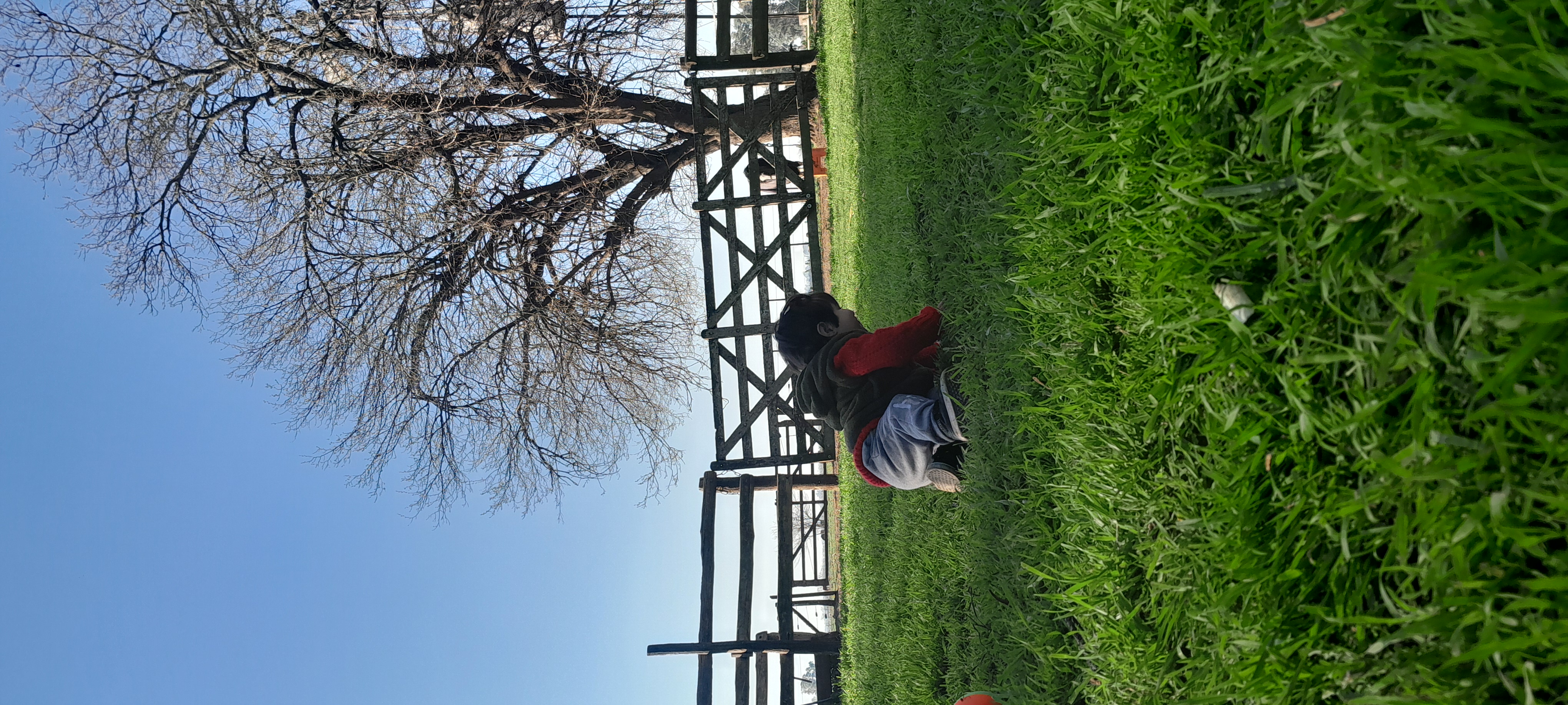 20250906_162737.jpg