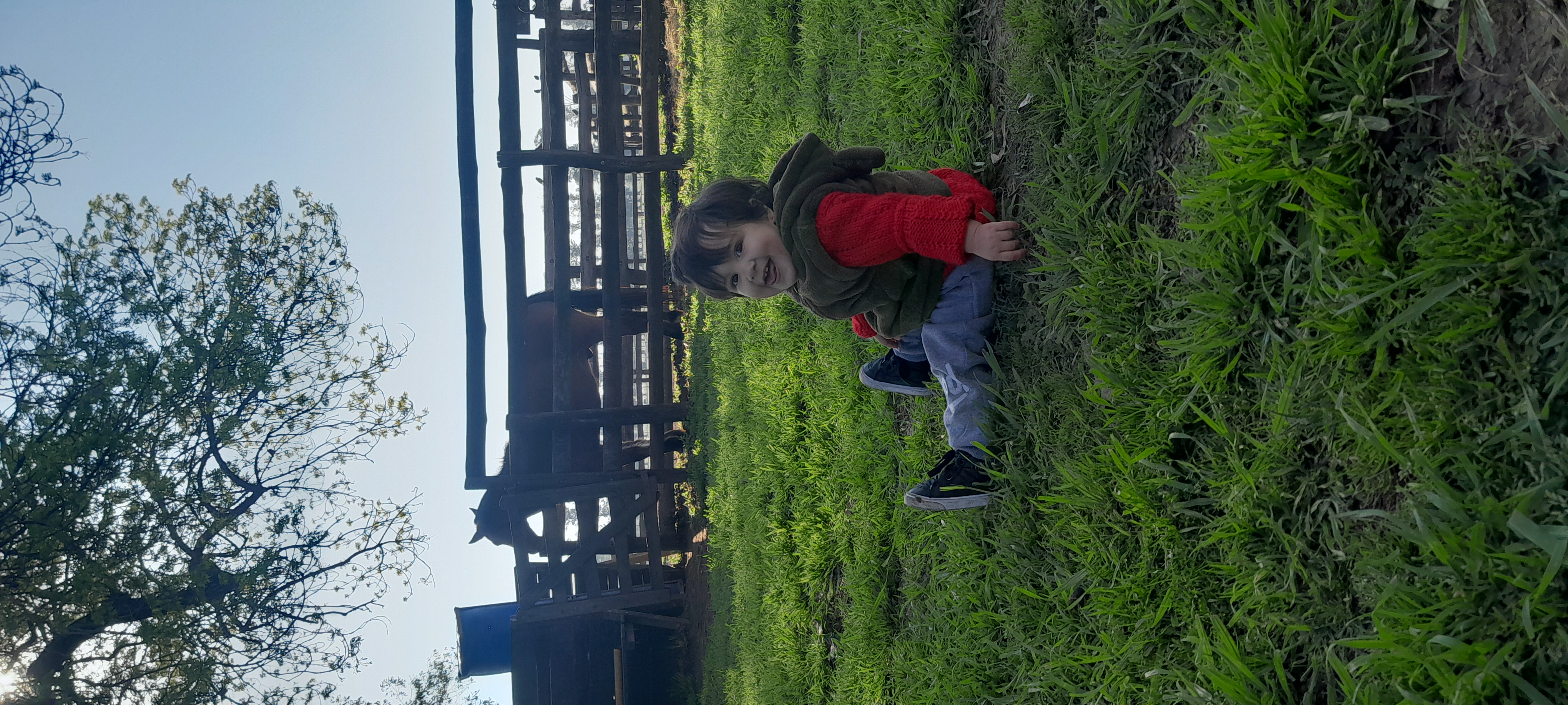 20250906_162750.jpg