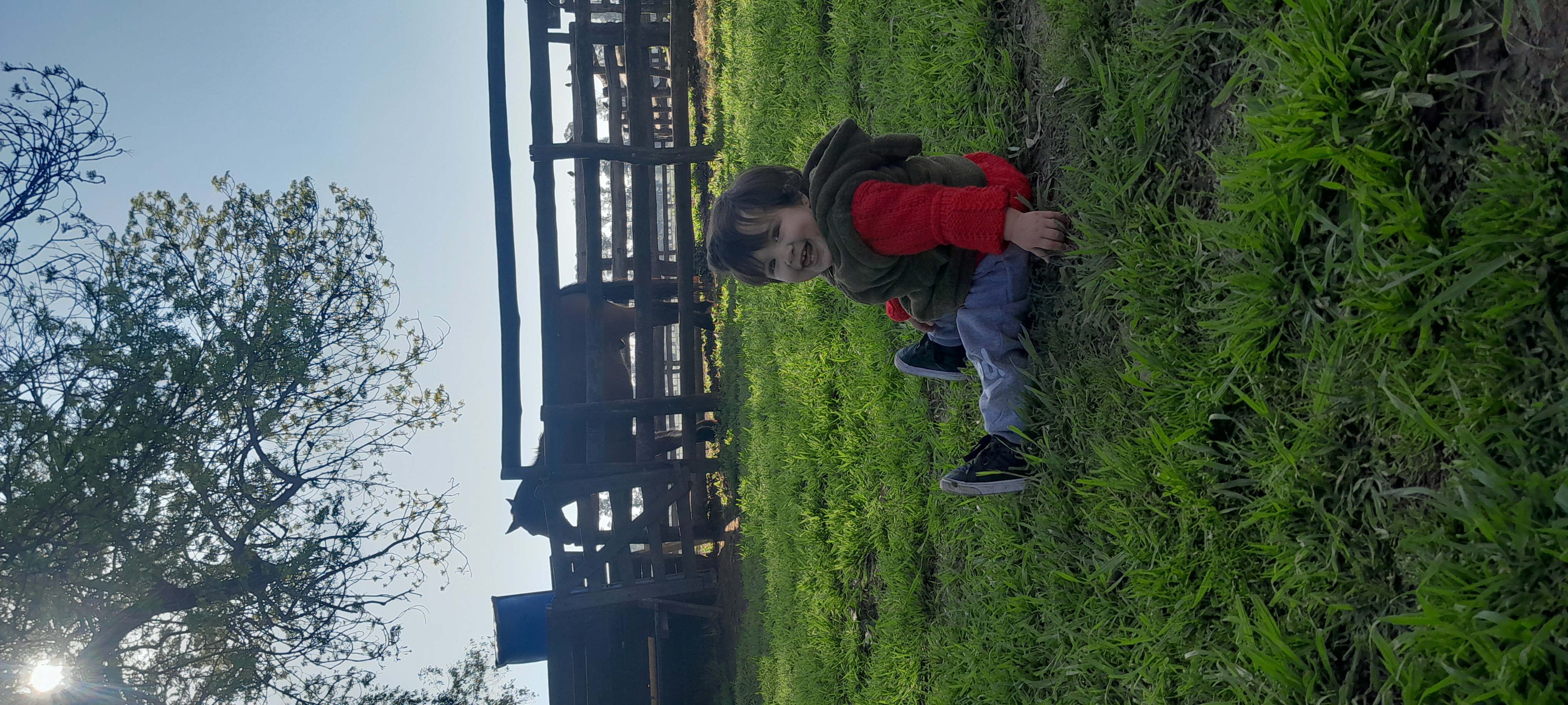 20250906_162751.jpg