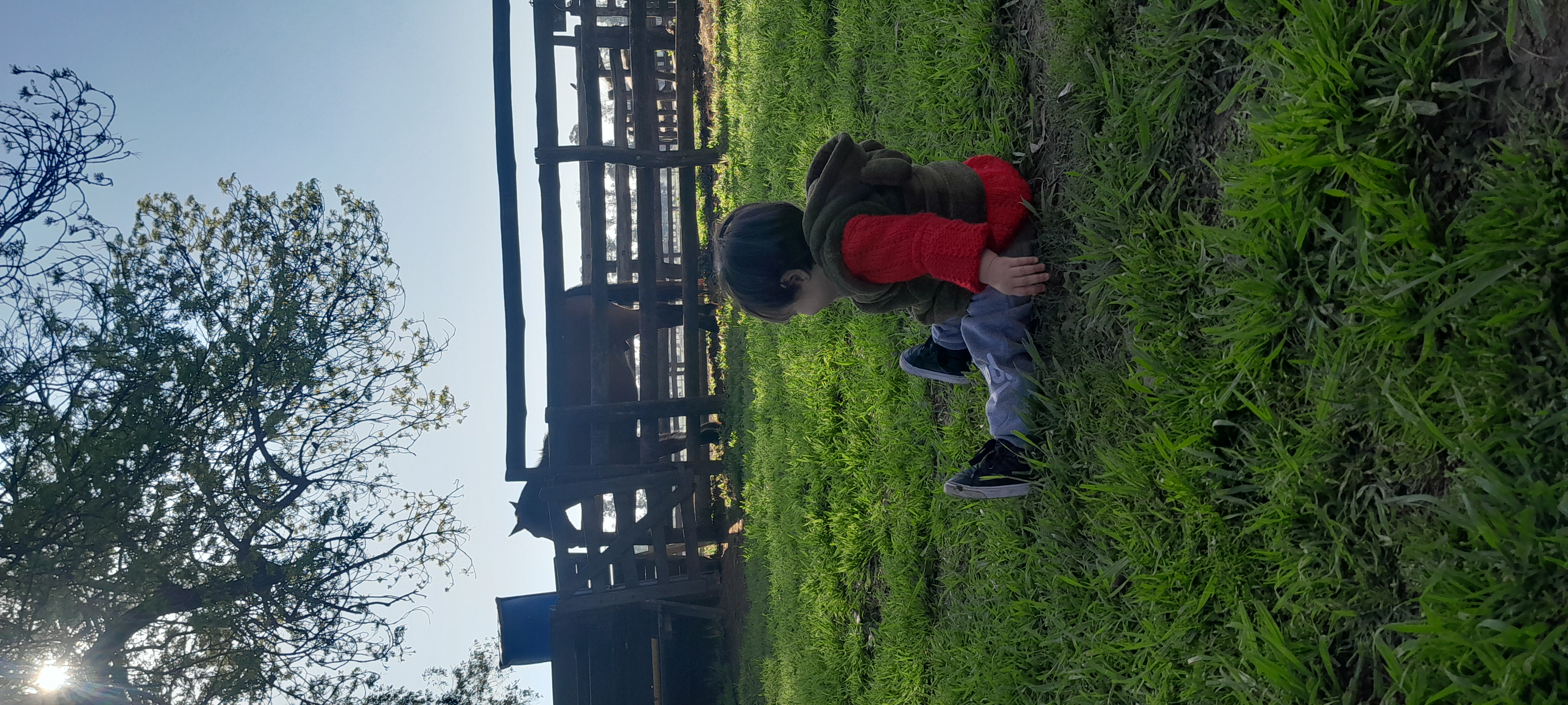 20250906_162753.jpg