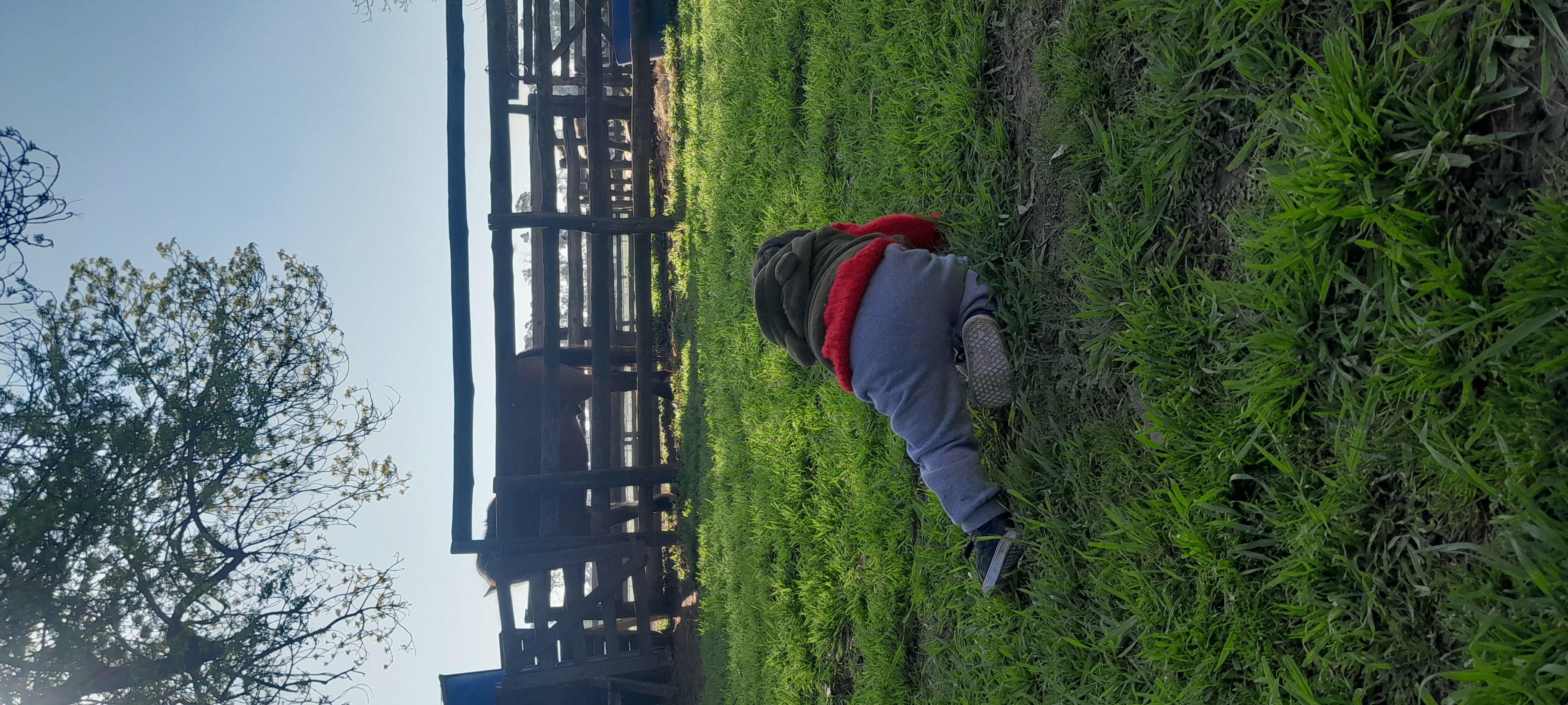 20250906_162801.jpg