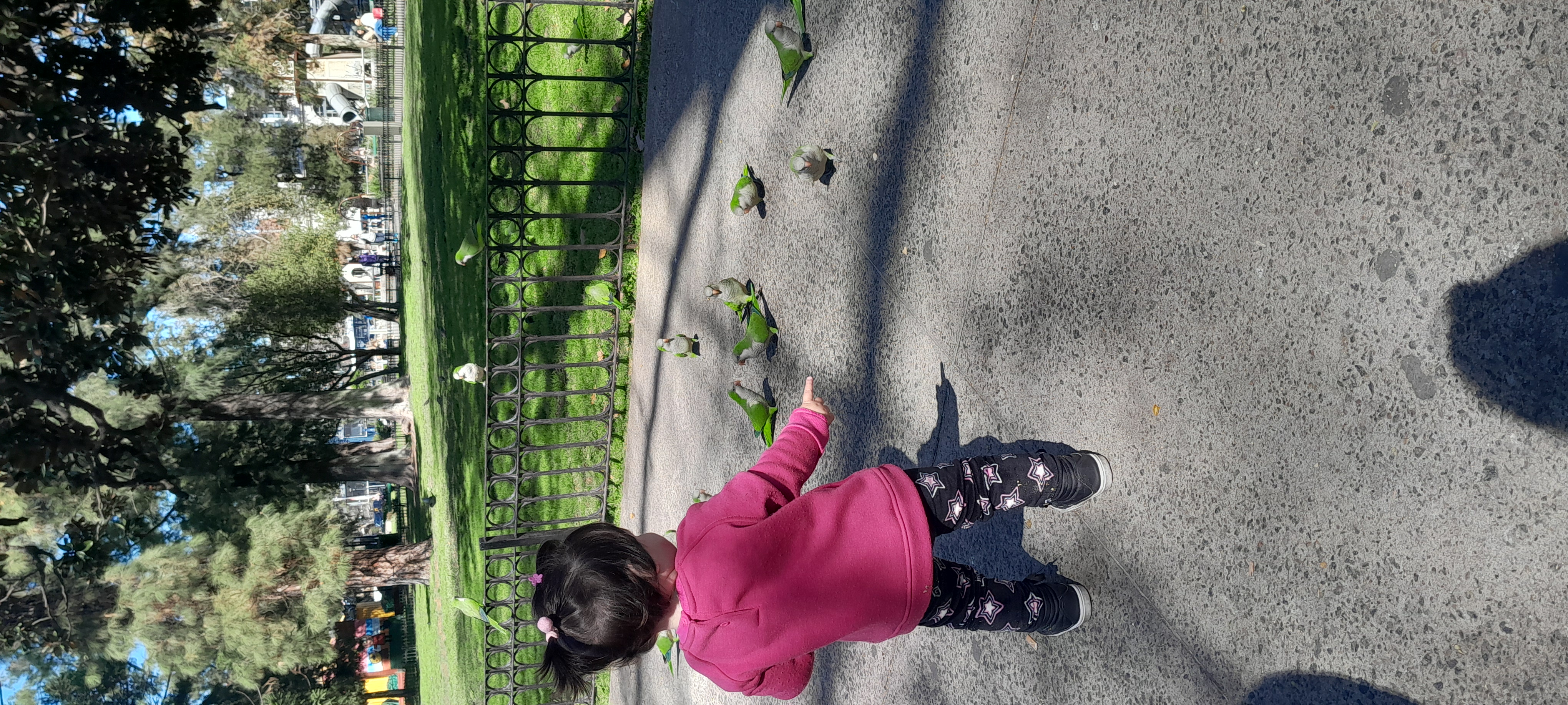 20250909_114838.jpg