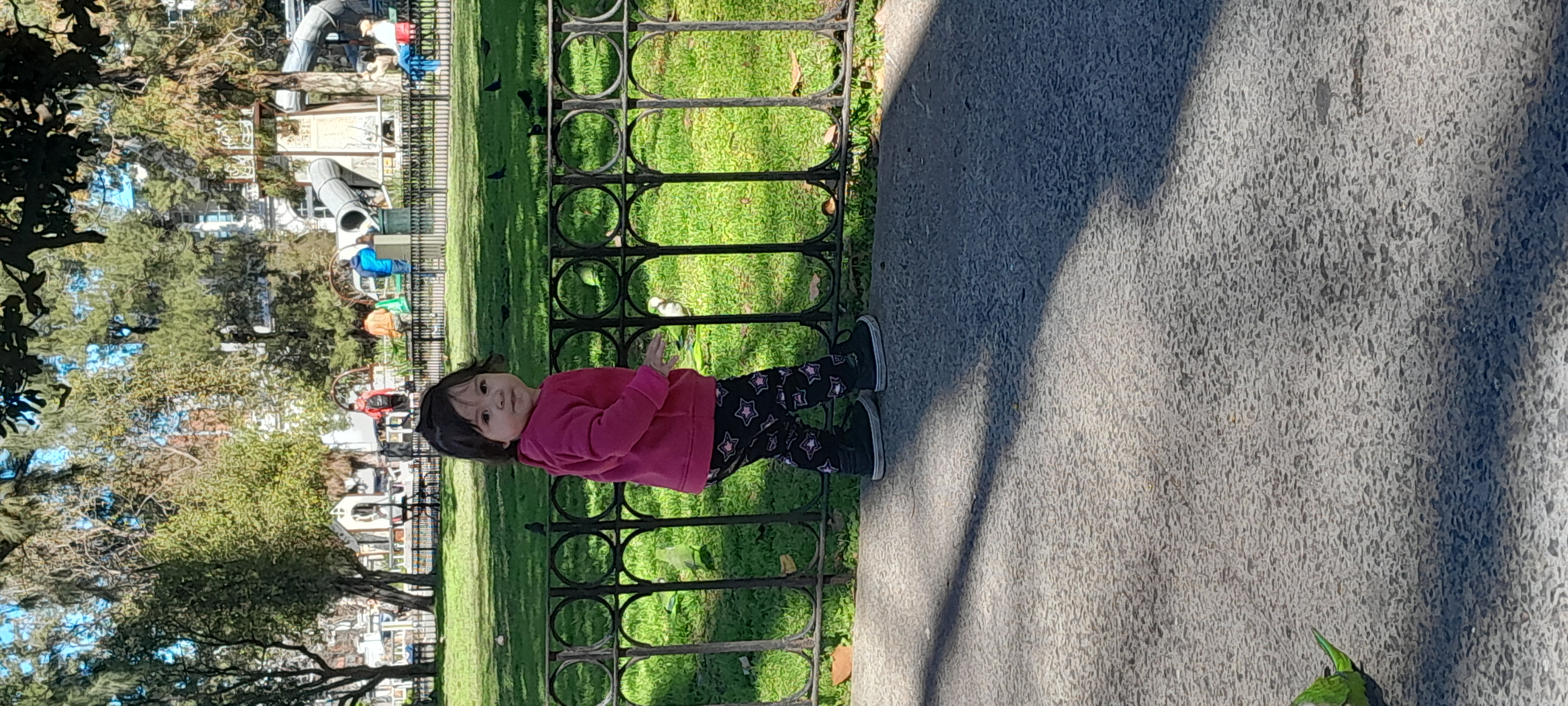 20250909_114931.jpg
