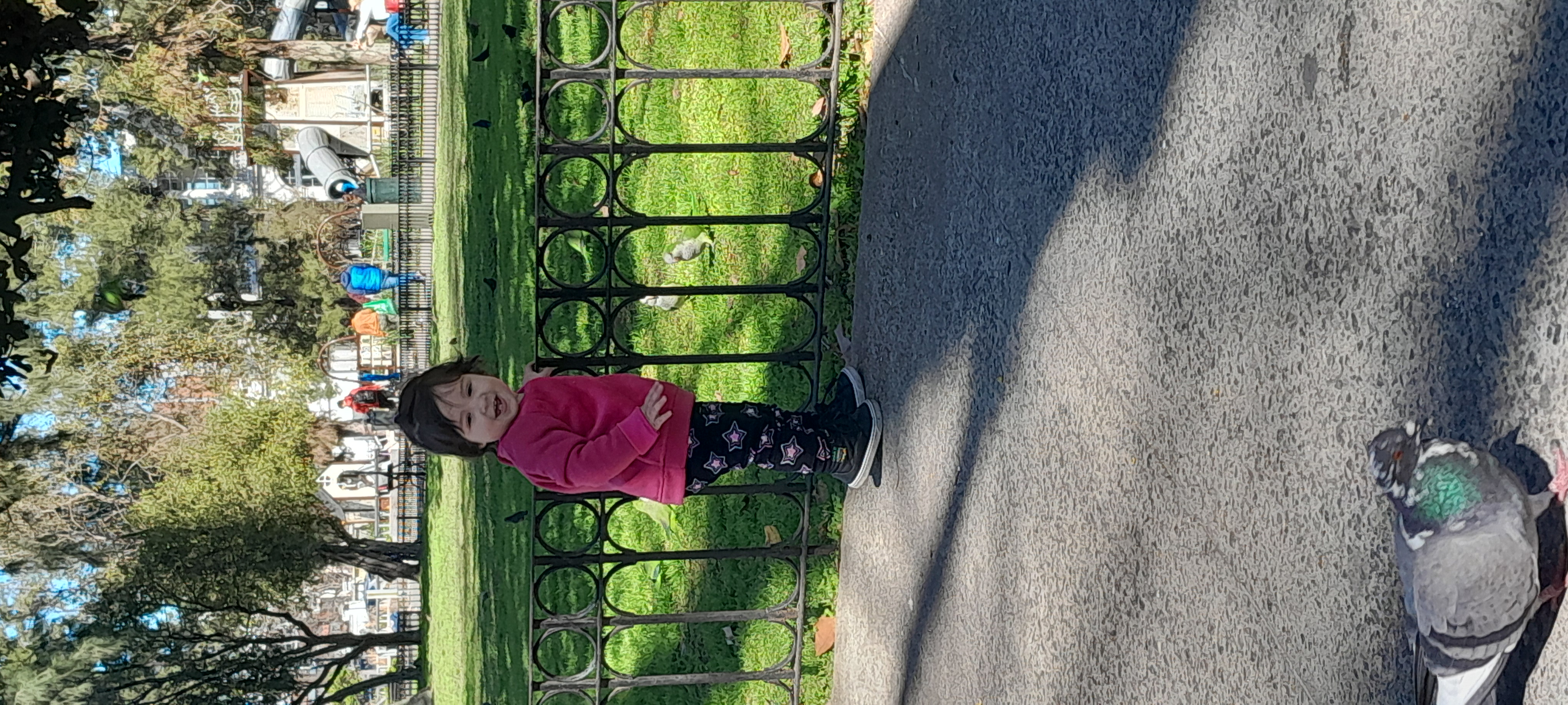 20250909_114933.jpg