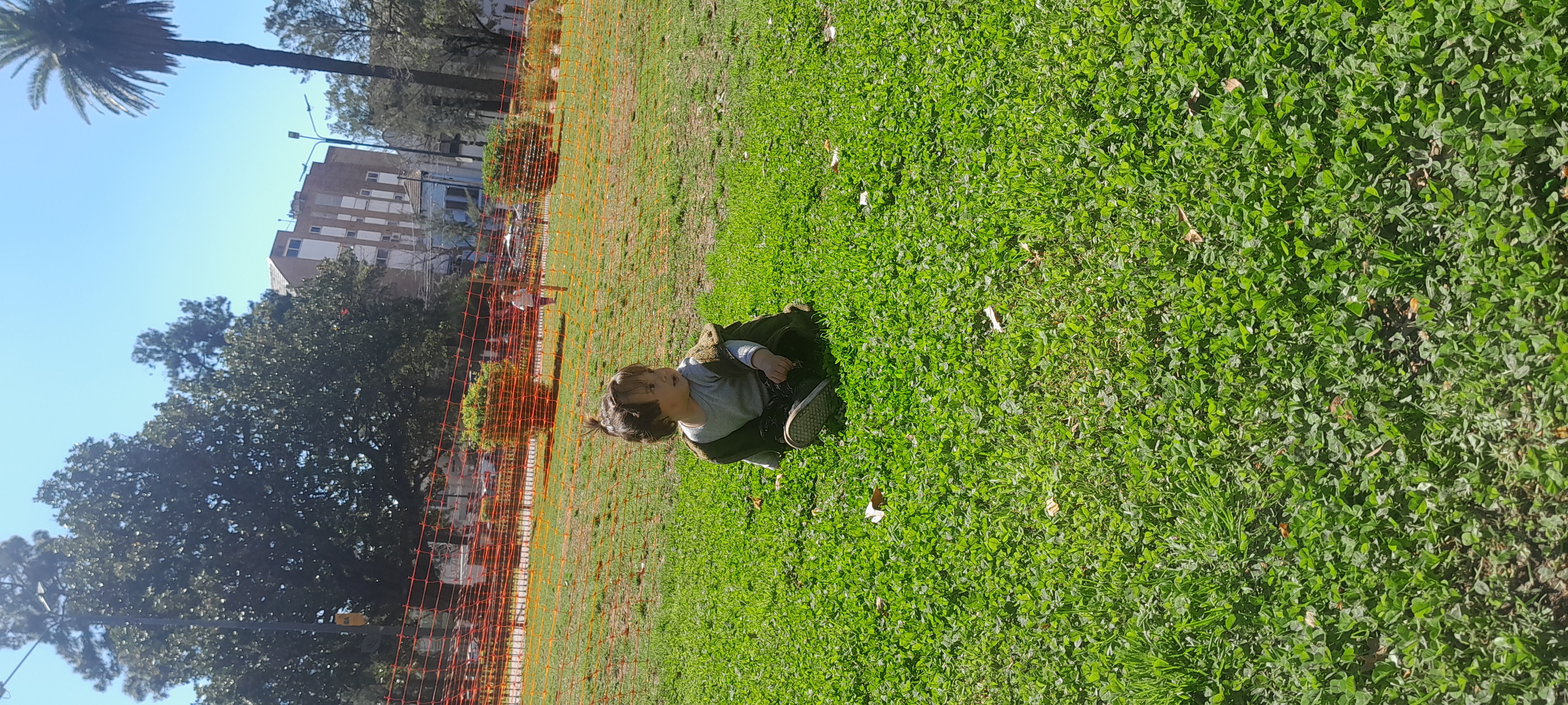20250910_123907.jpg