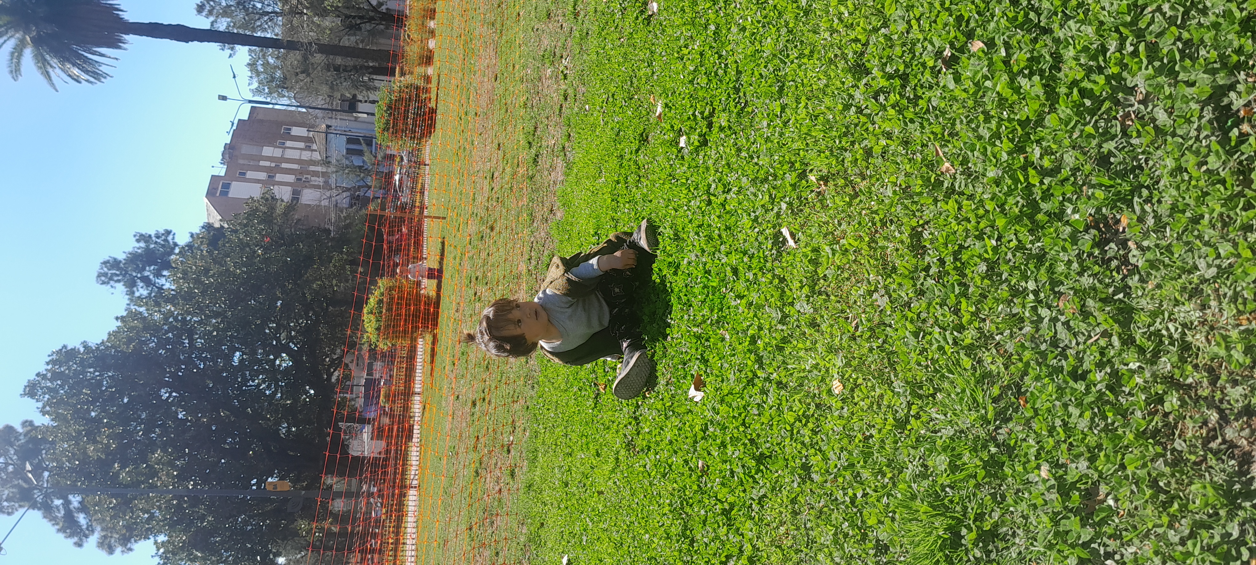 20250910_123910.jpg