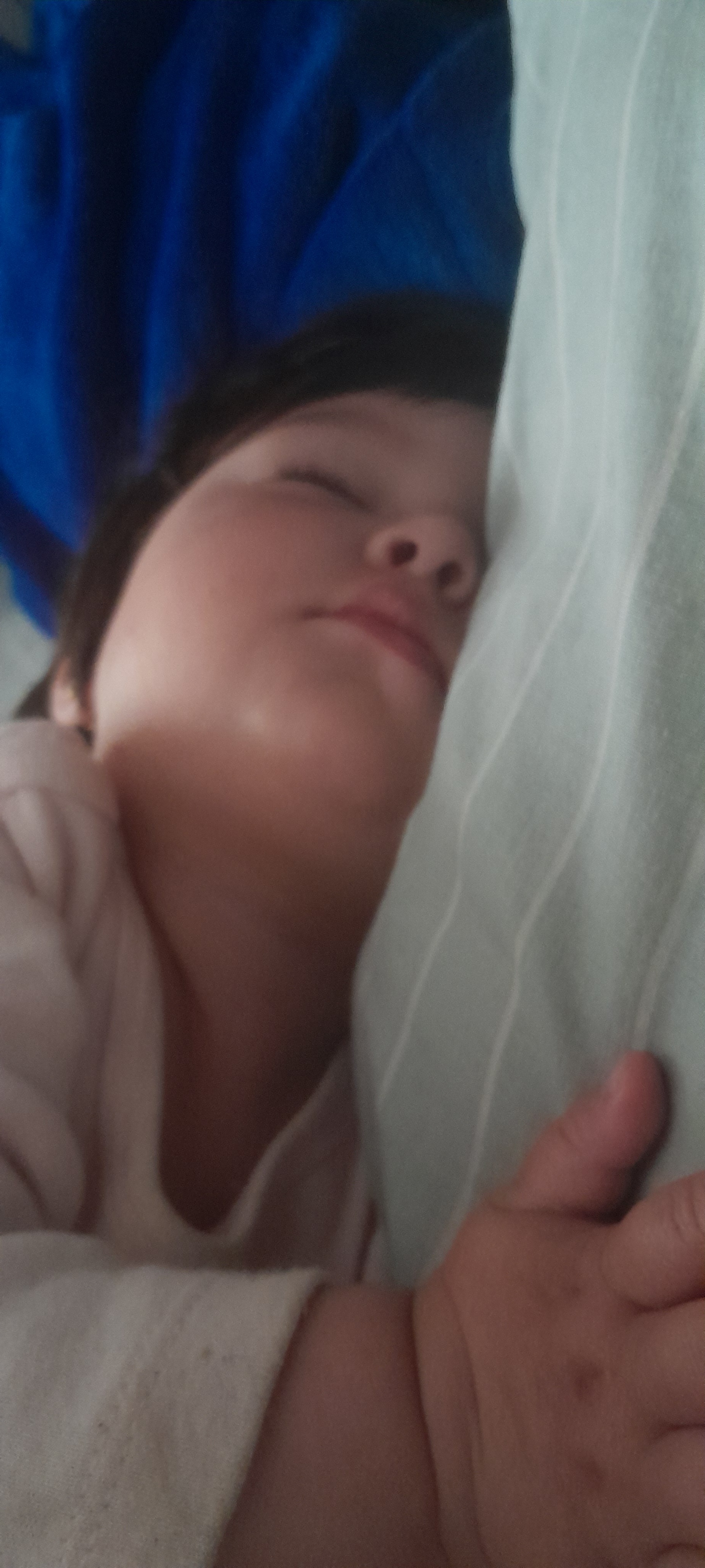 20250912_082243.jpg