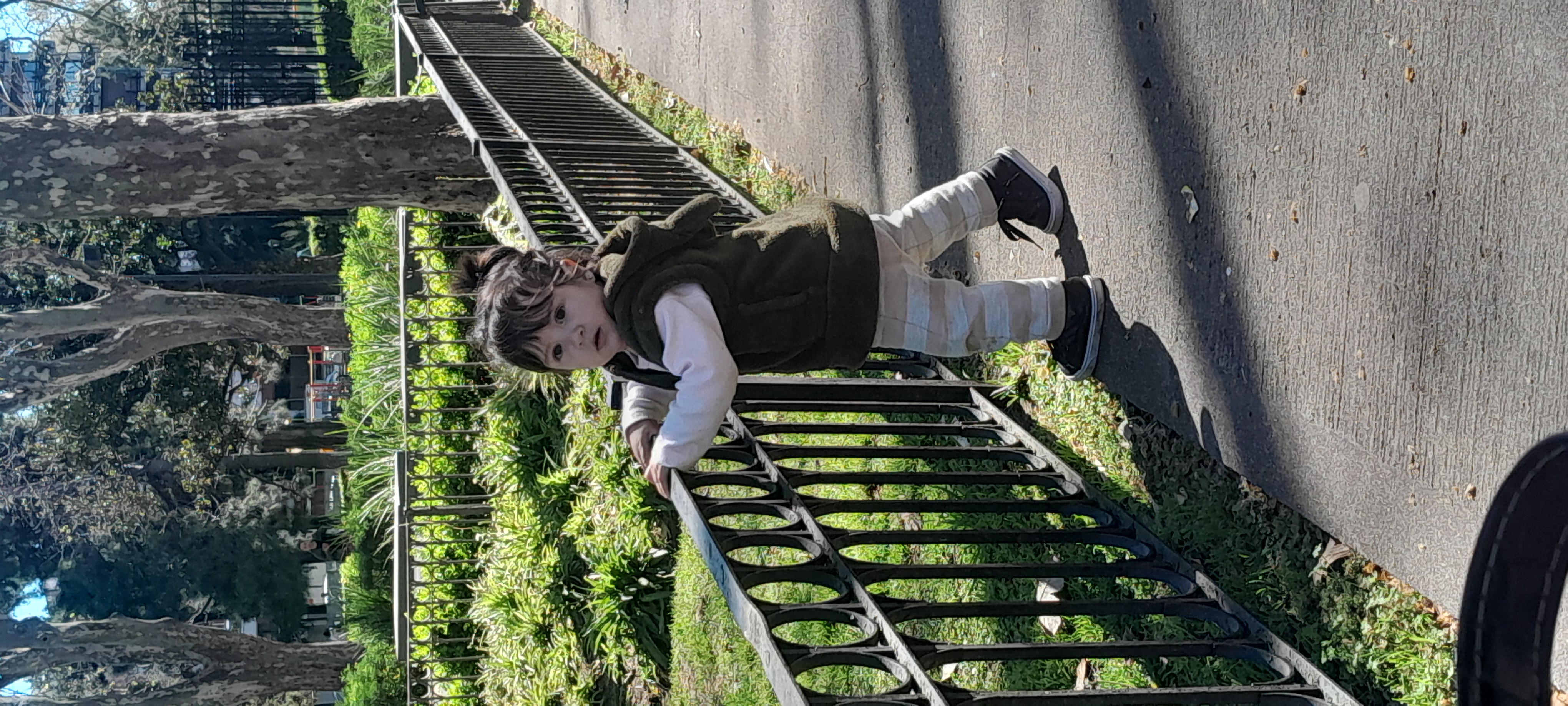 20250912_112321.jpg