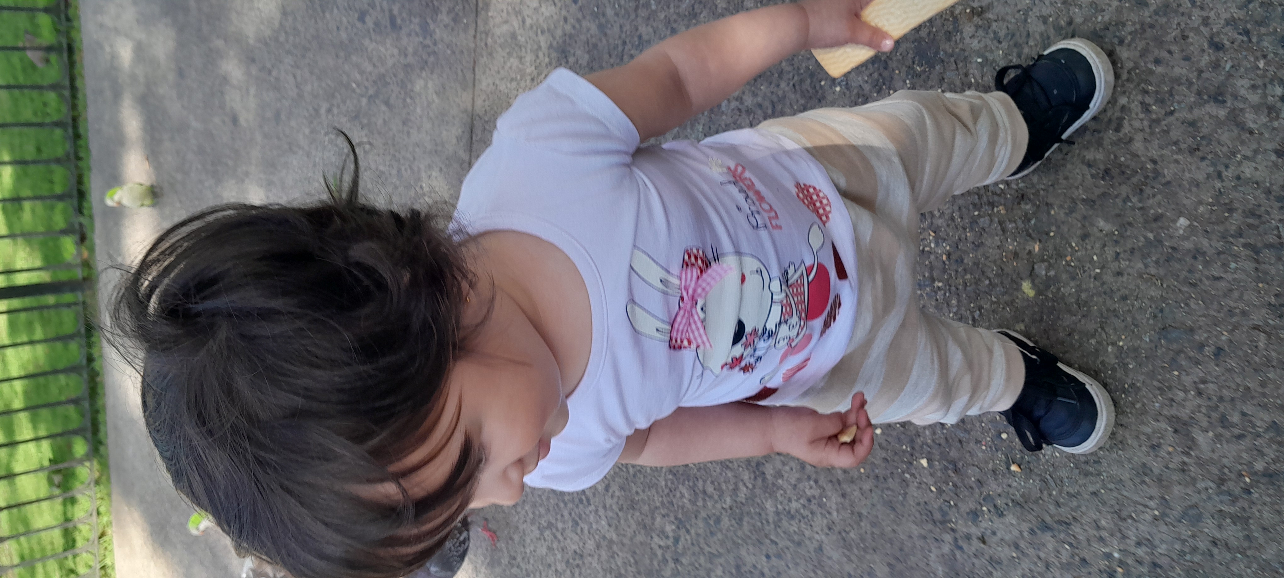 20250917_153337.jpg