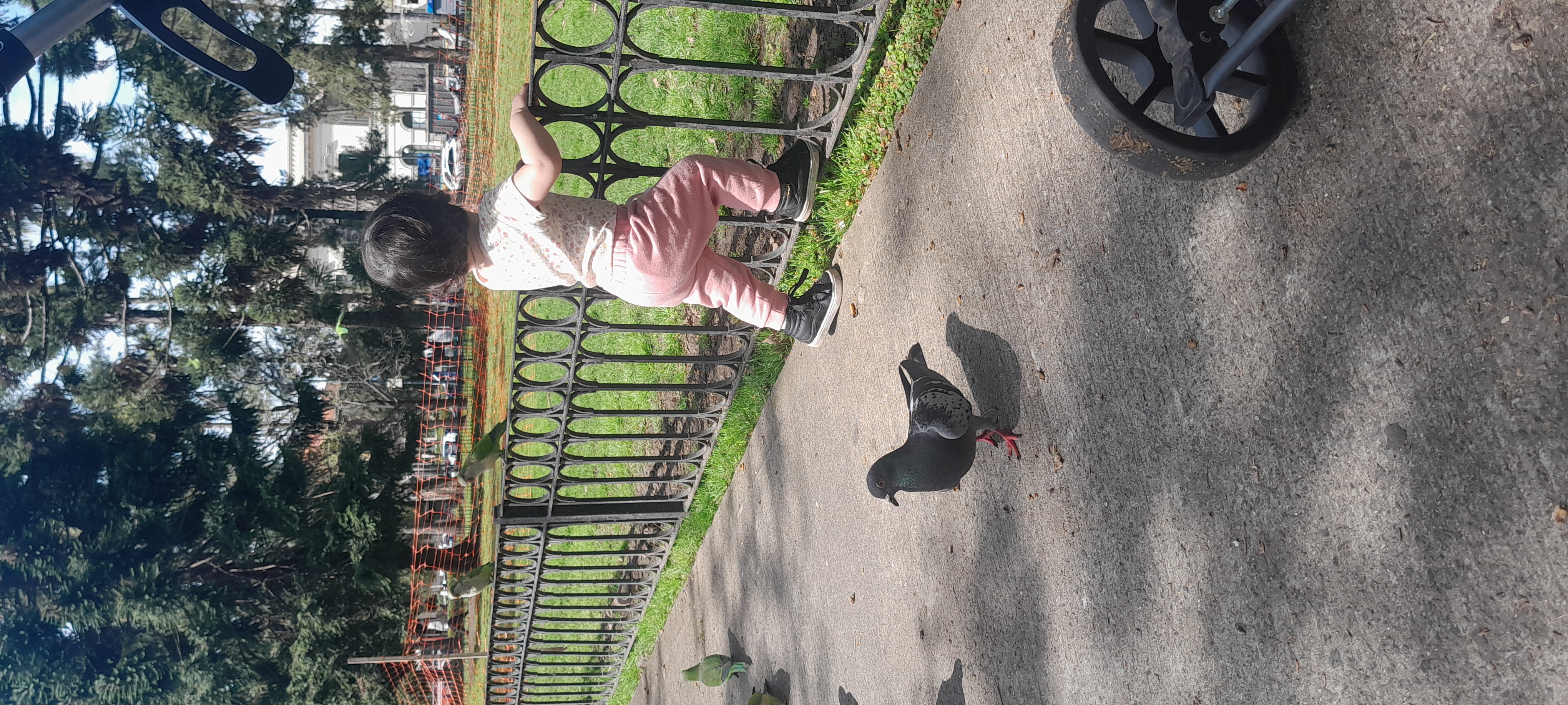 20250918_115149.jpg