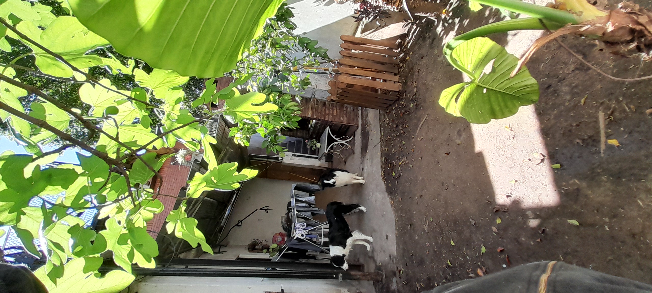 20250925_145115.jpg
