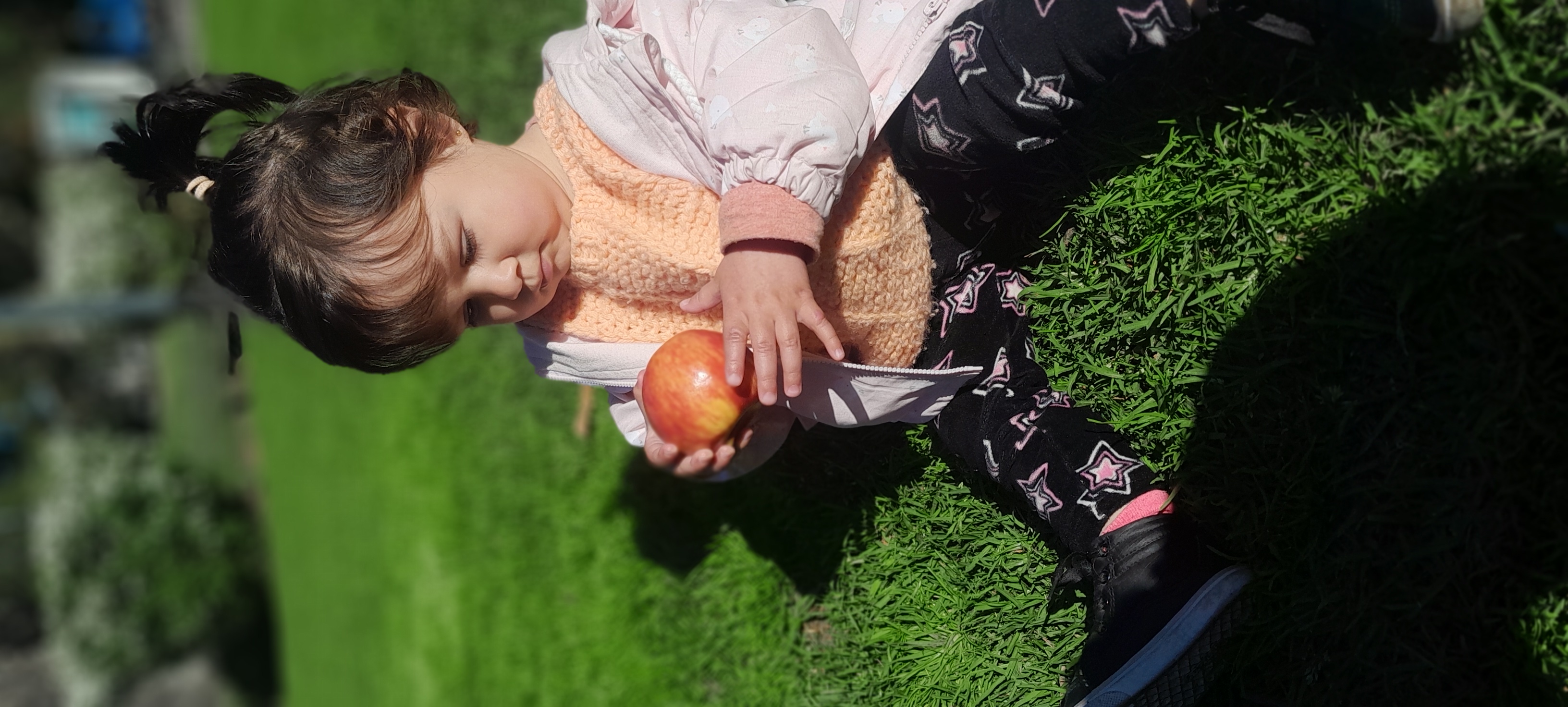 20250925_161243.jpg