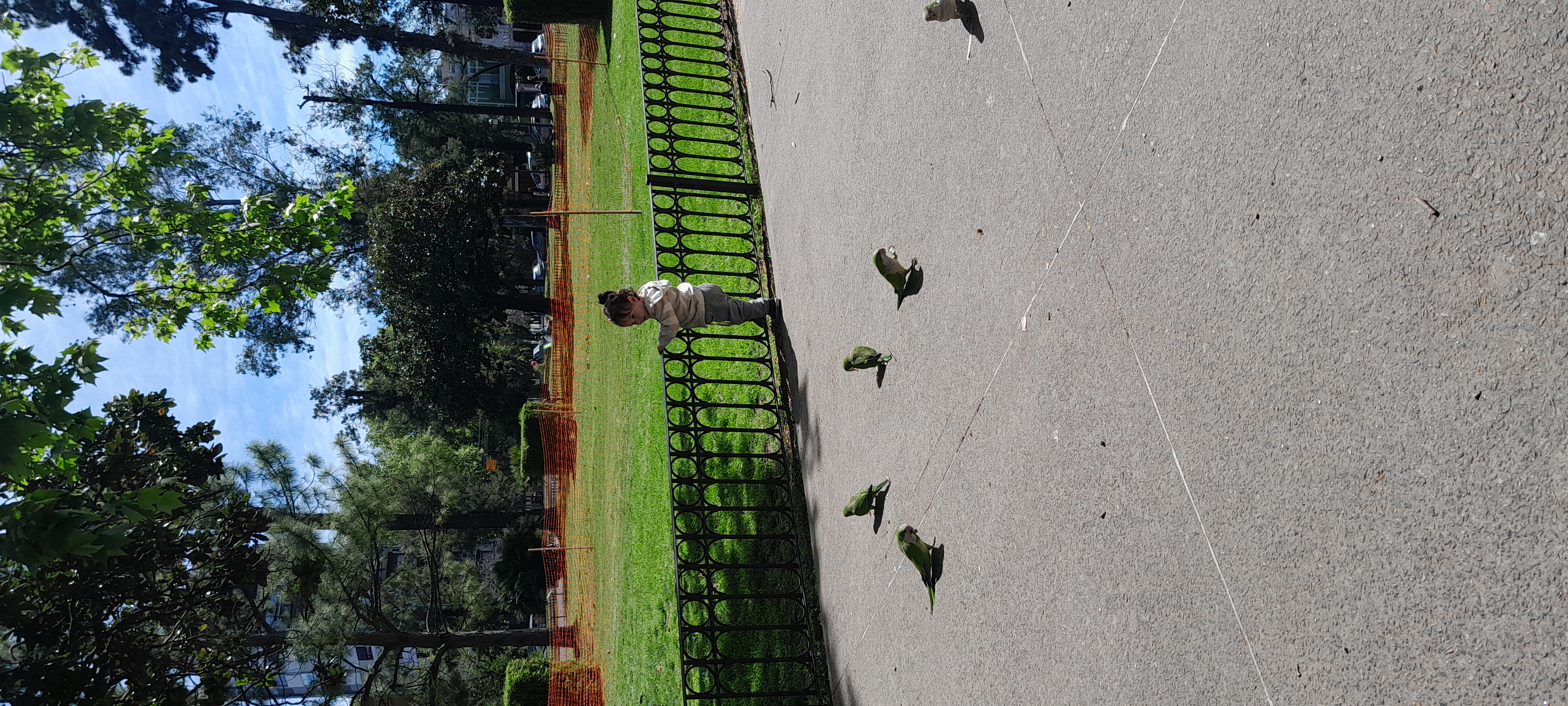 20250929_105614.jpg