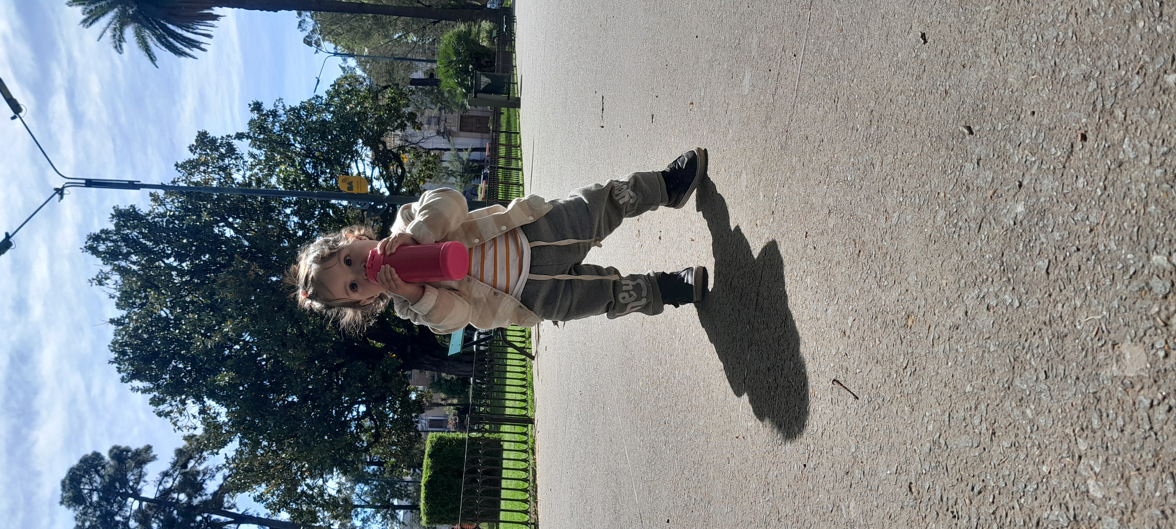 20250929_105904.jpg