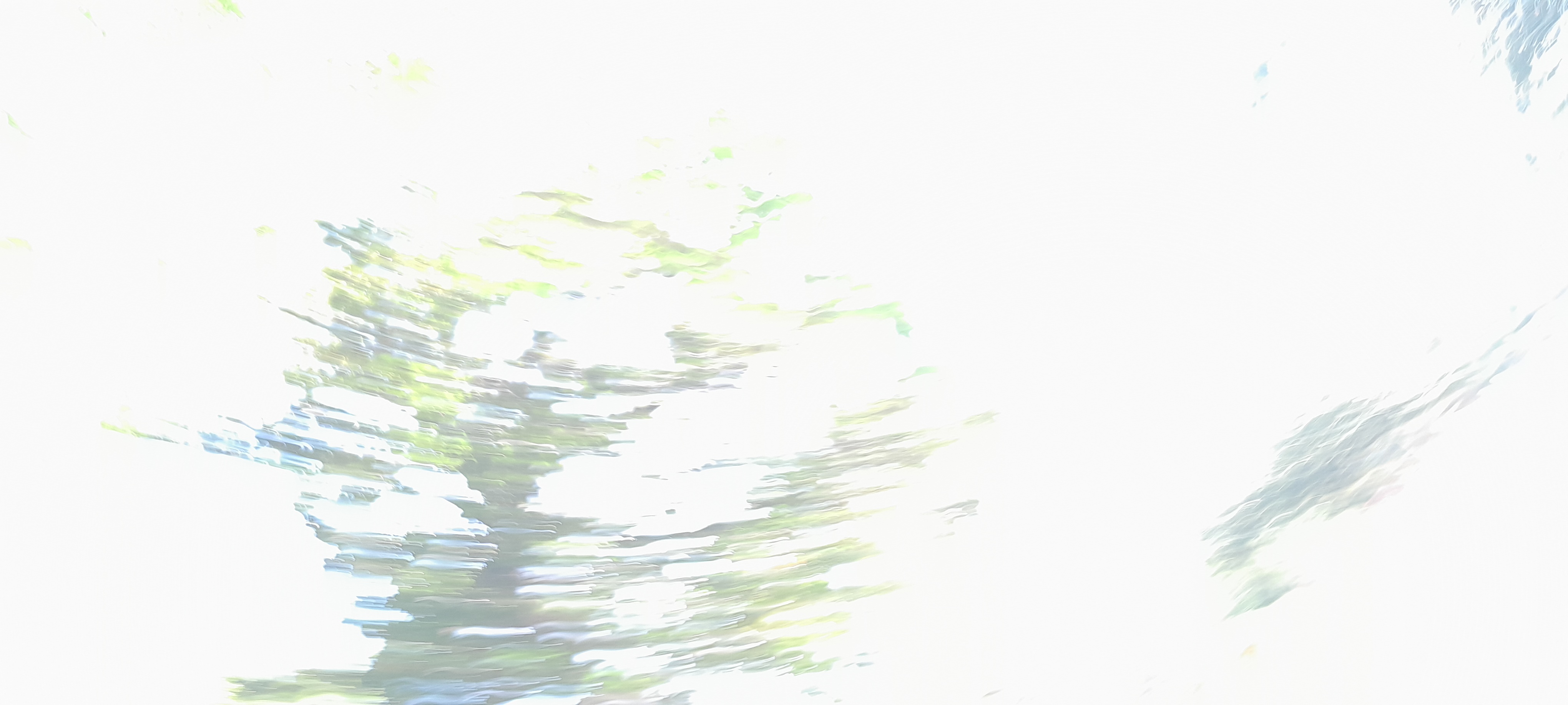 20250929_110908.jpg