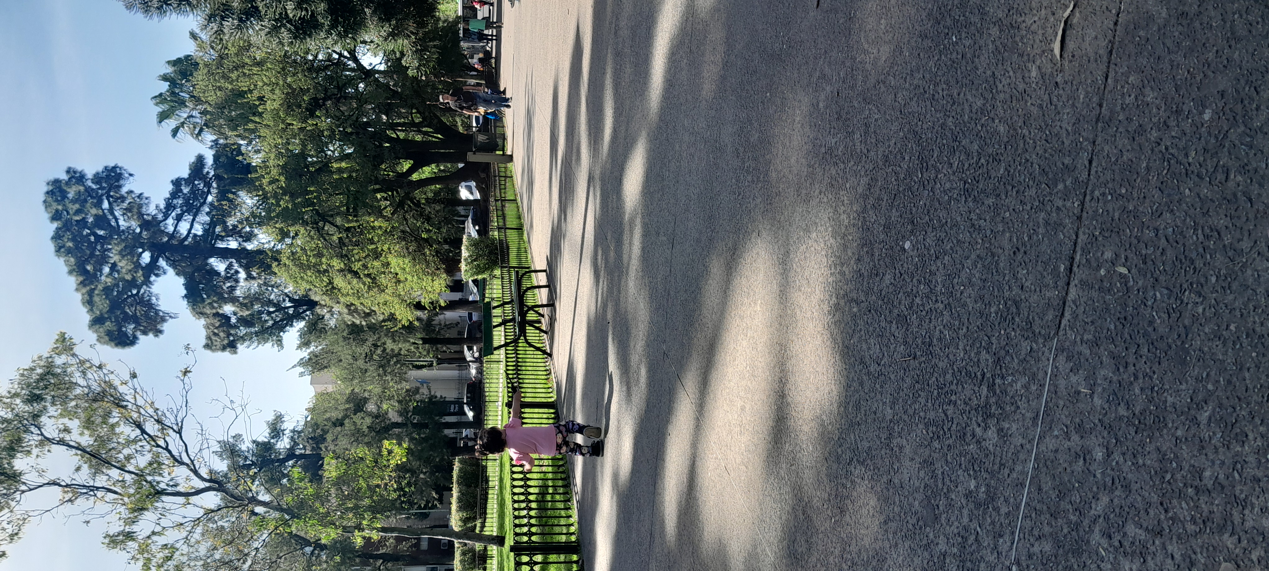 20250930_111841.jpg
