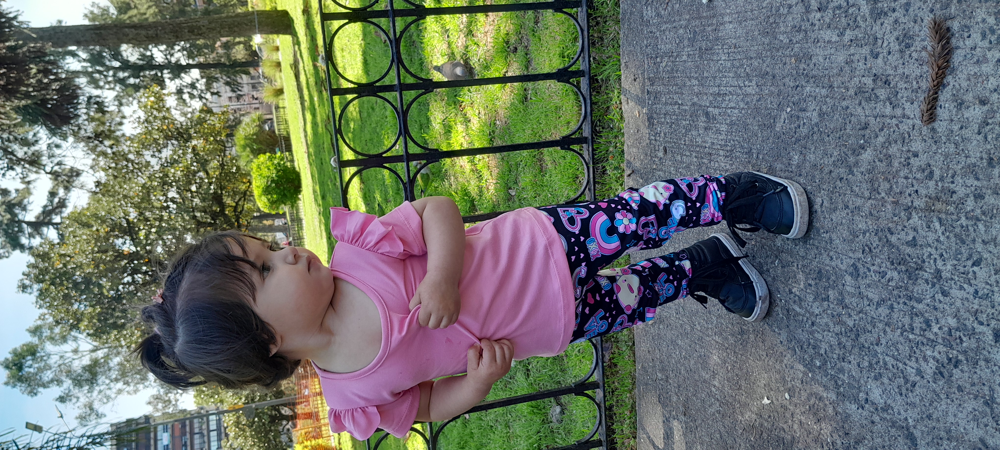 20250930_115451.jpg