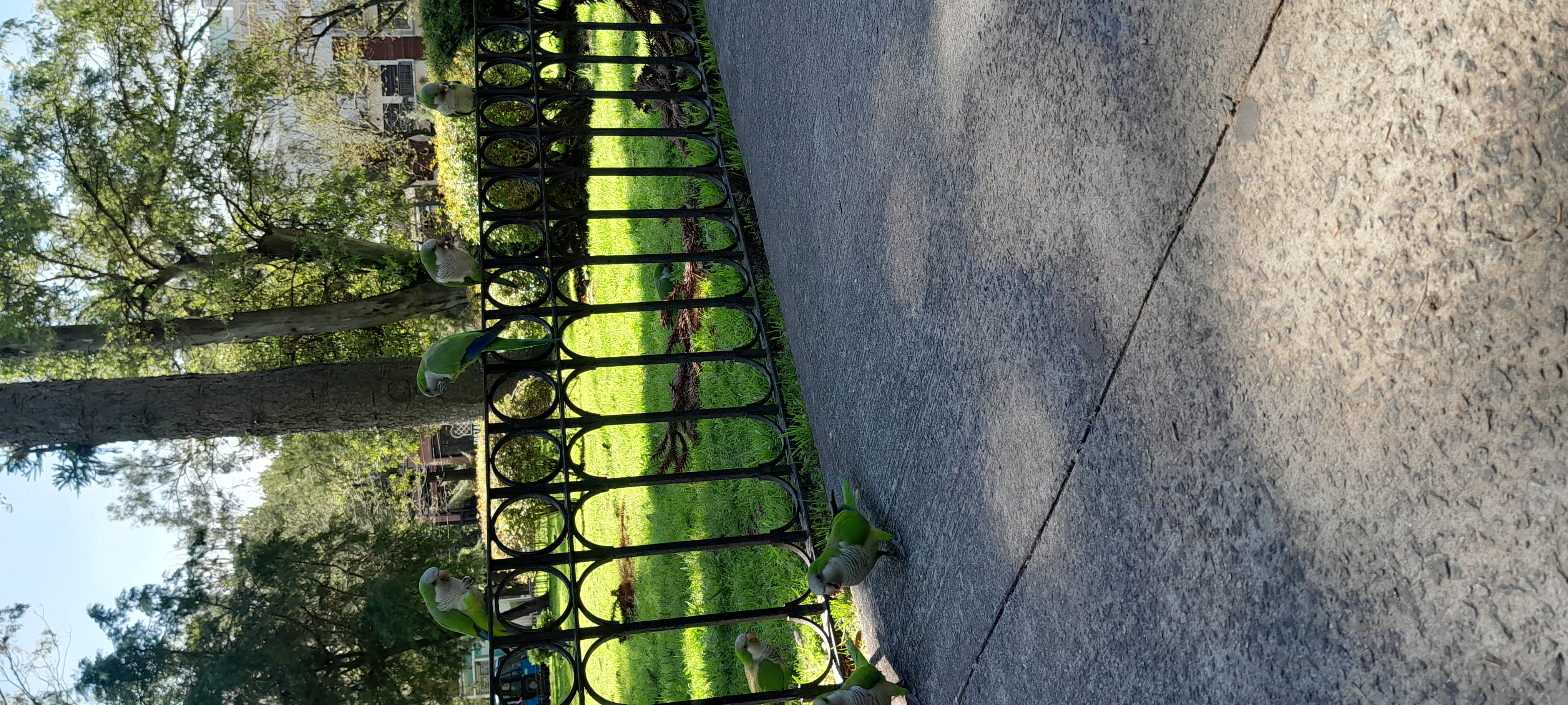 20250930_115507.jpg