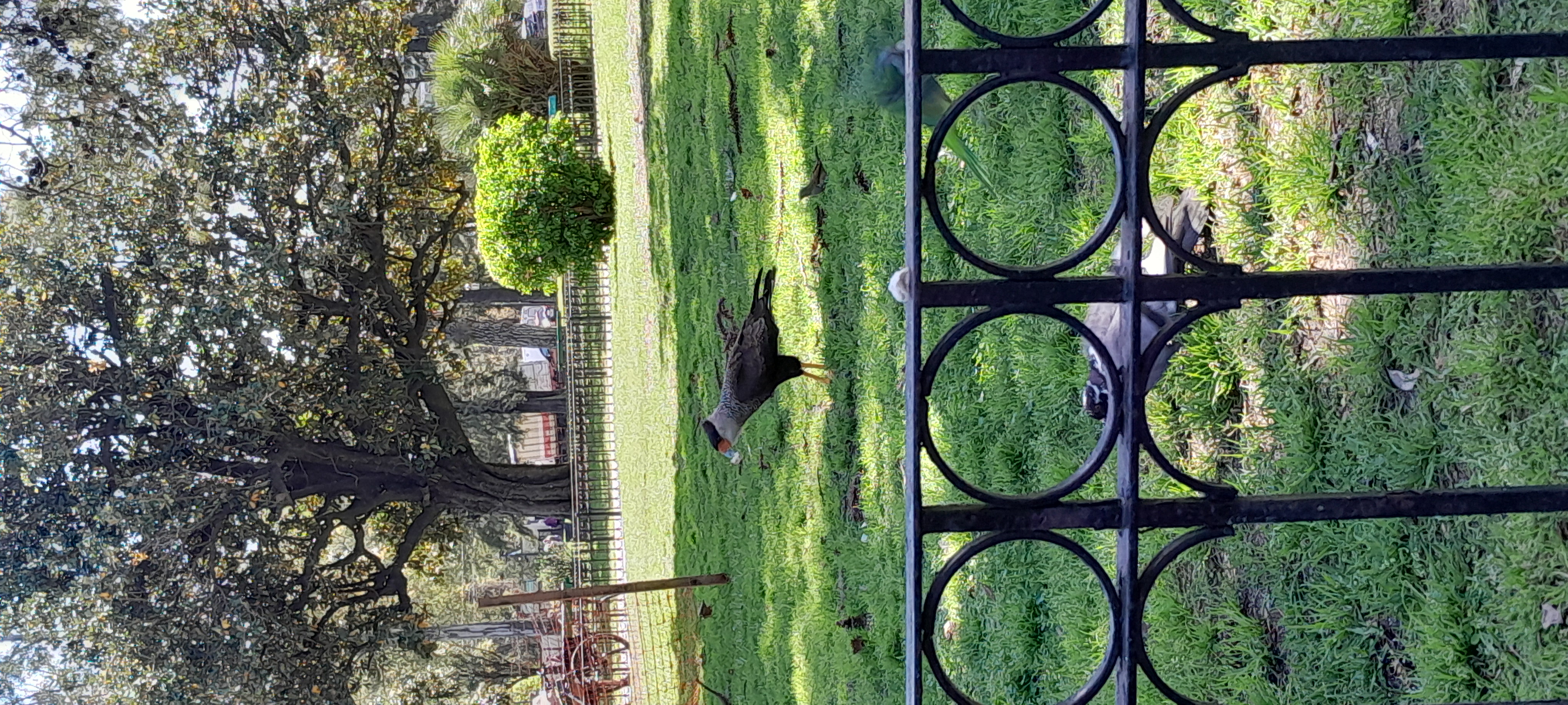 20250930_115610.jpg