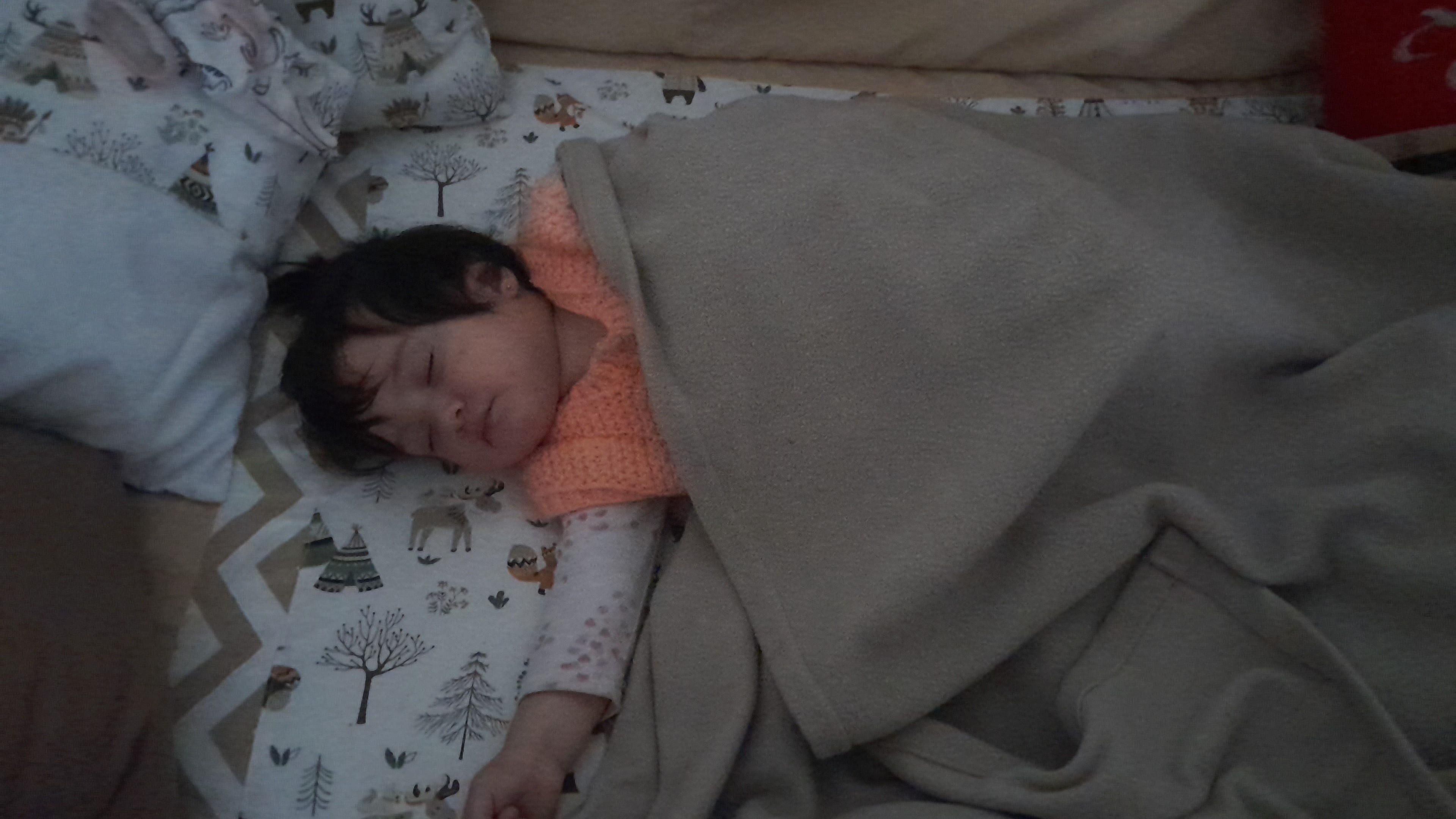 IMG-20250904-WA0013.jpeg