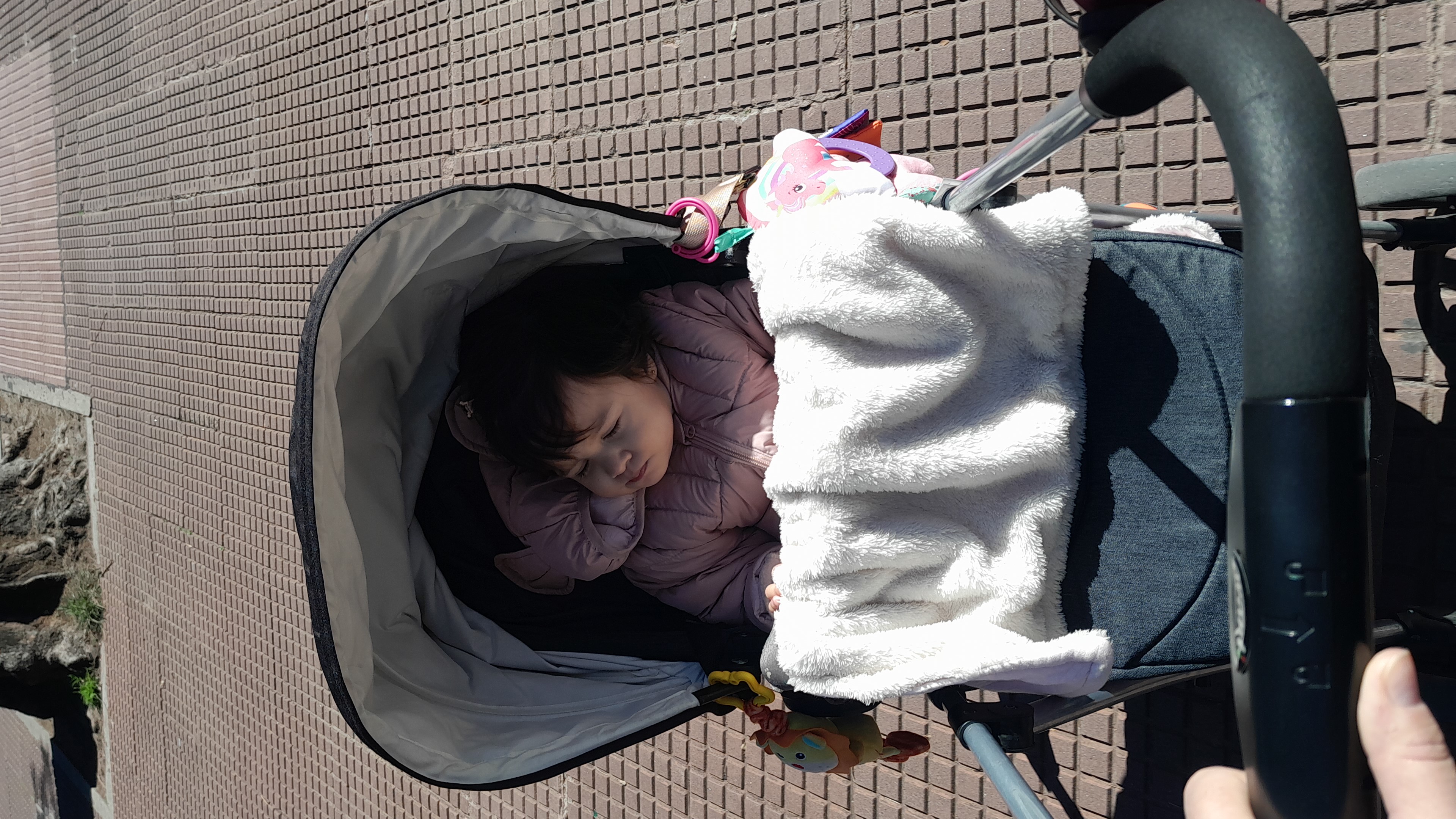 IMG-20250905-WA0025.jpeg