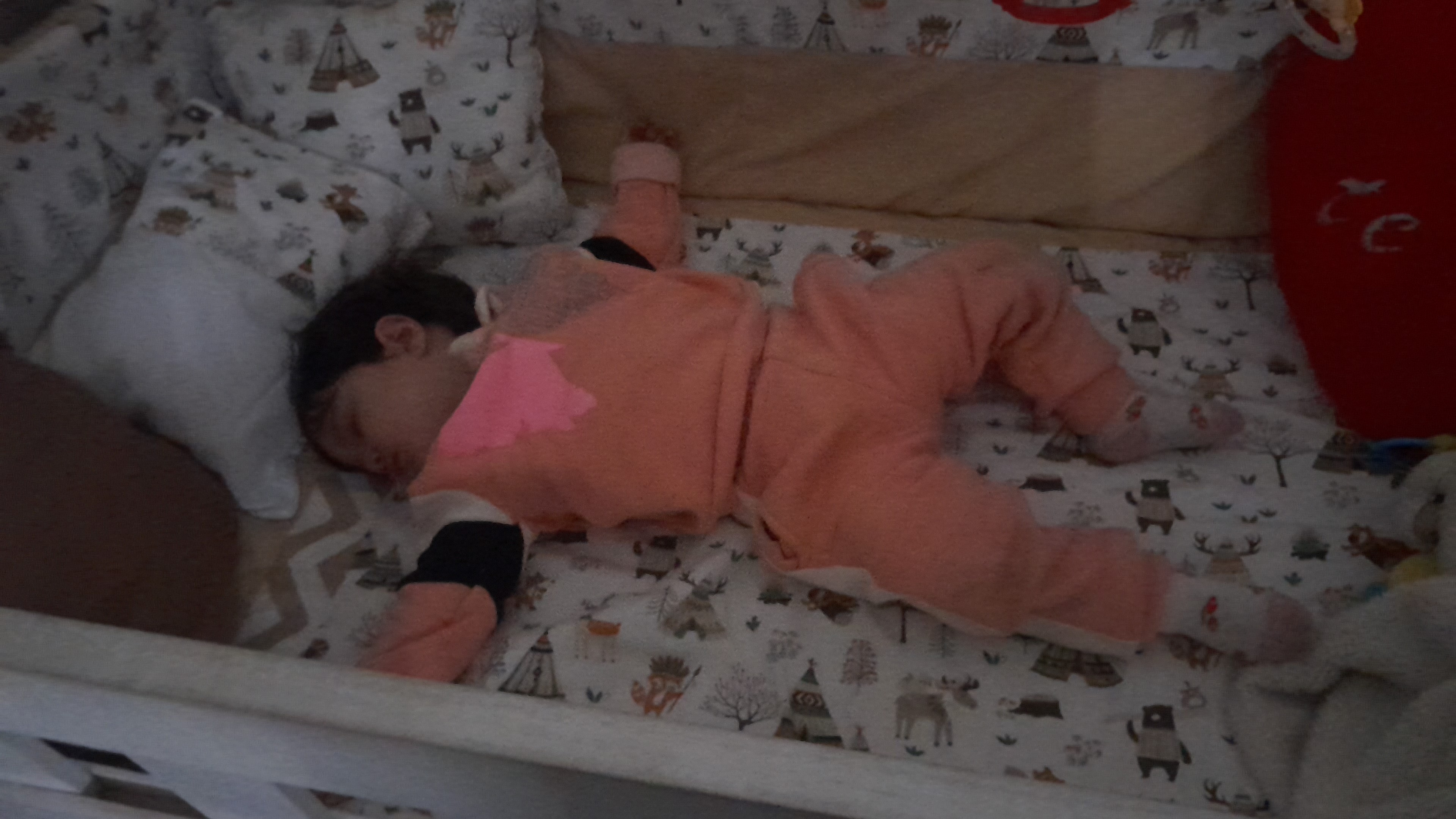 IMG-20250905-WA0048.jpeg
