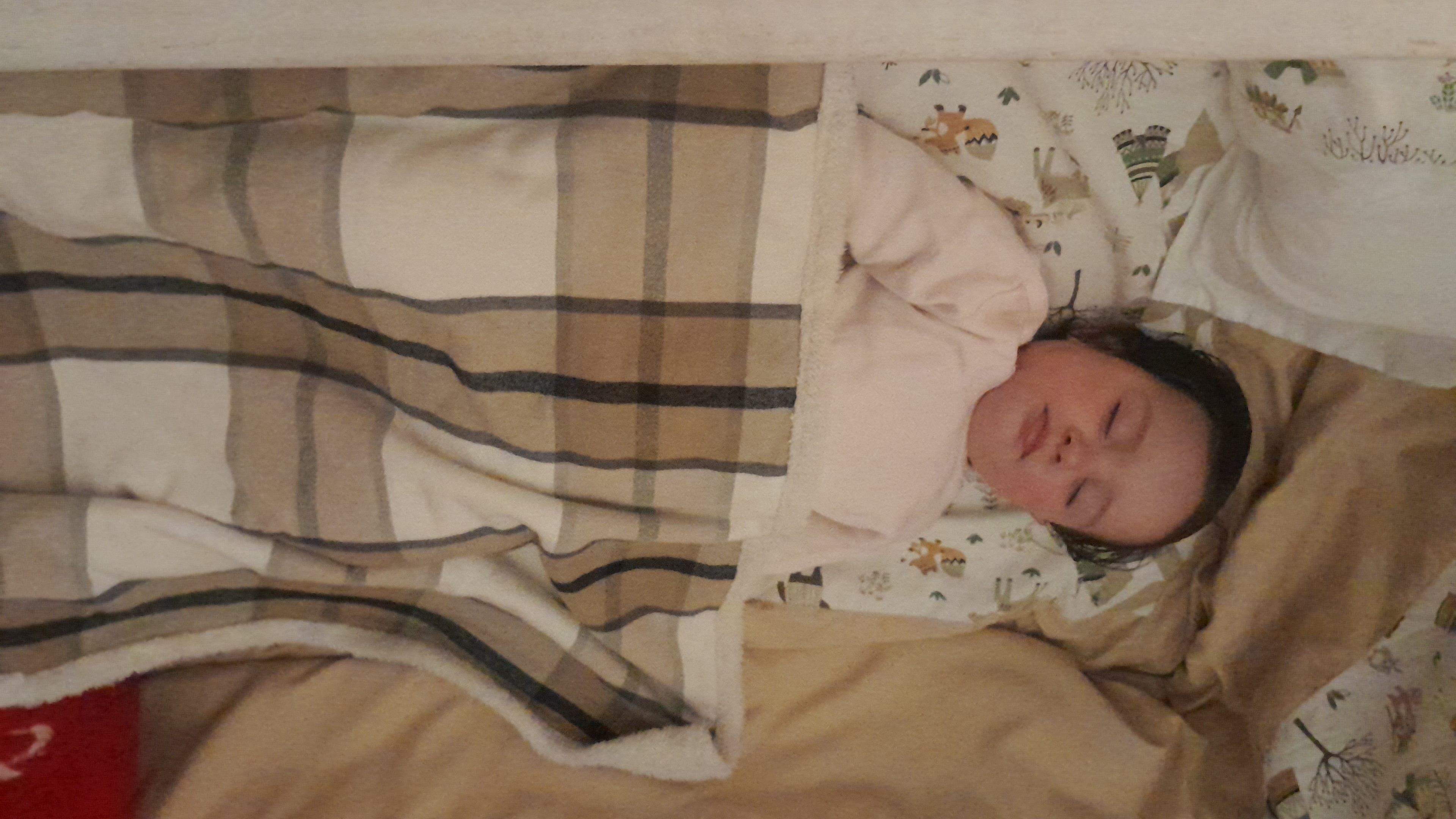 IMG-20250910-WA0118.jpeg
