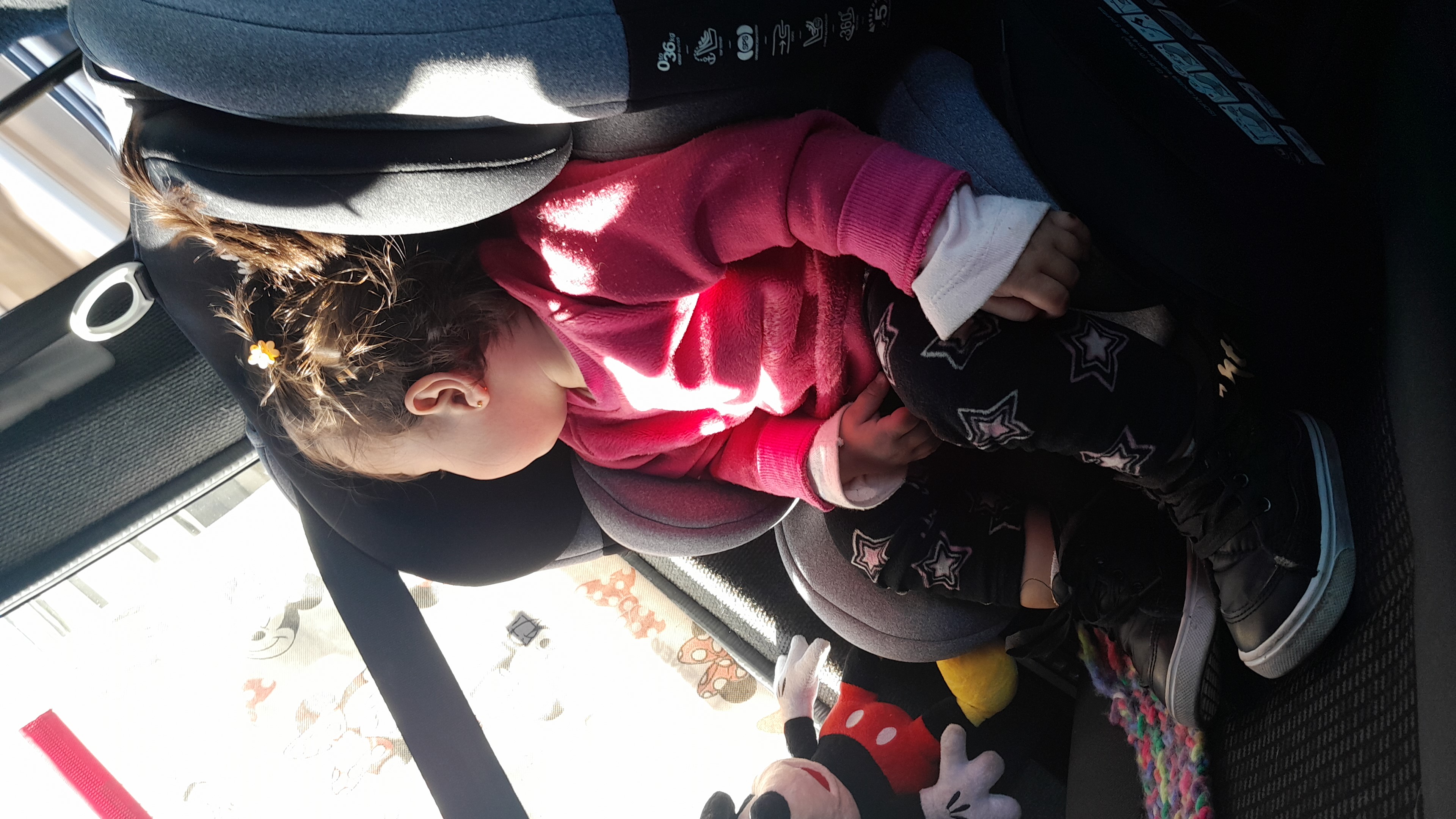 IMG-20250911-WA0041.jpeg