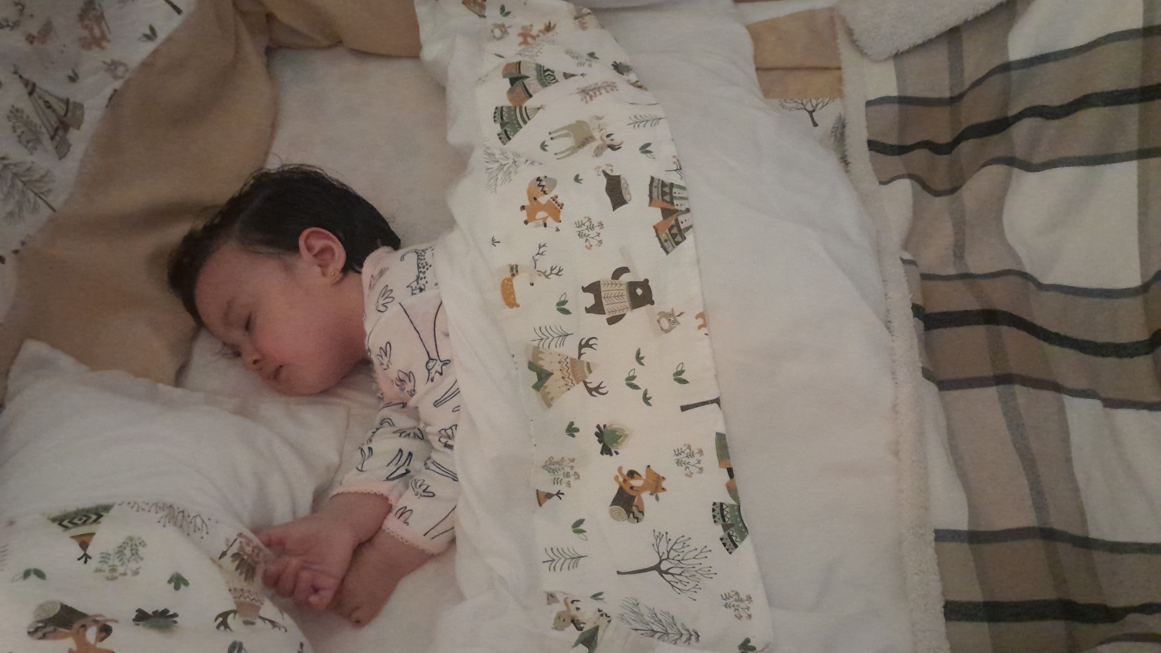 IMG-20250912-WA0061.jpeg