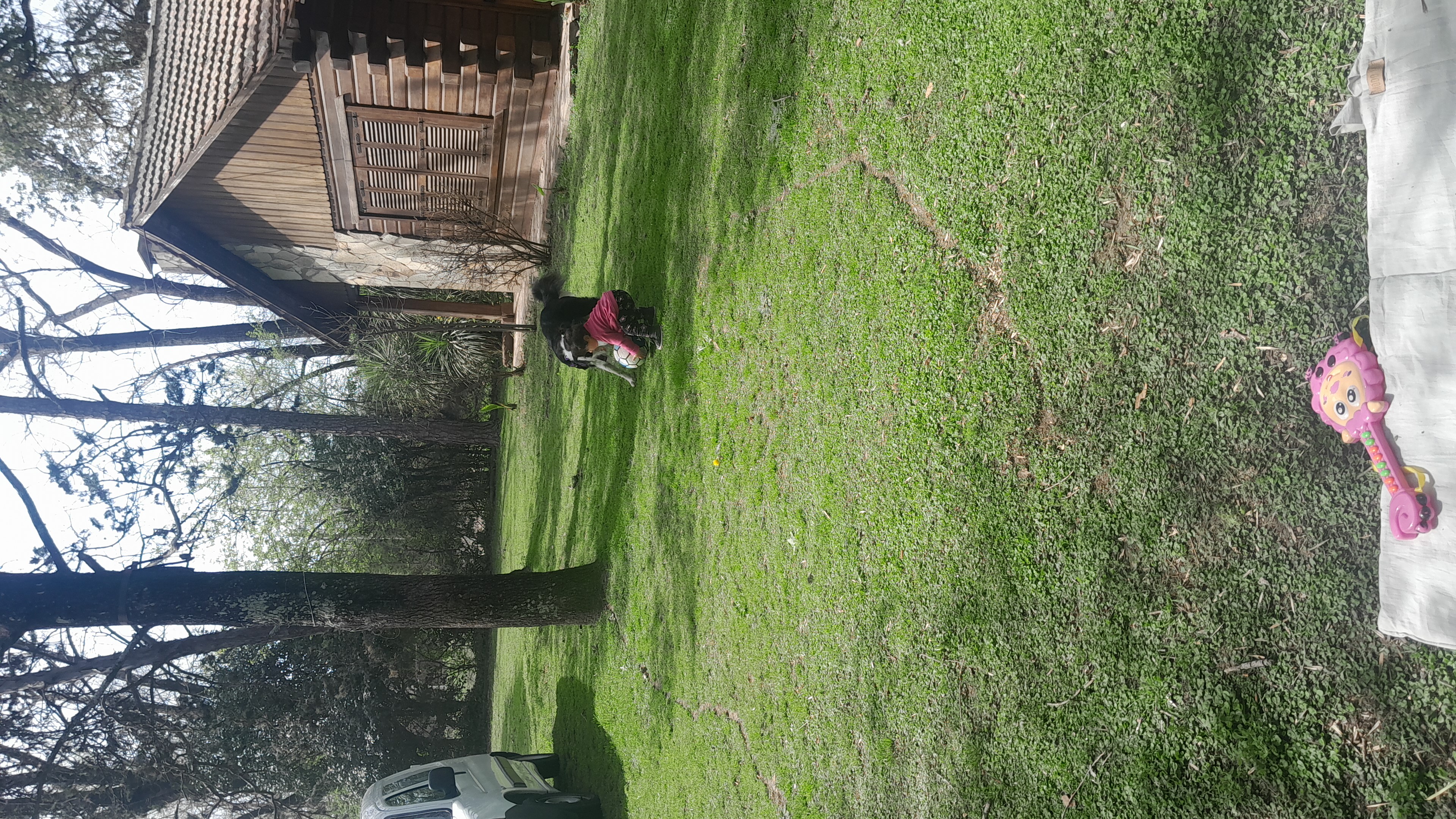IMG-20250913-WA0039.jpeg