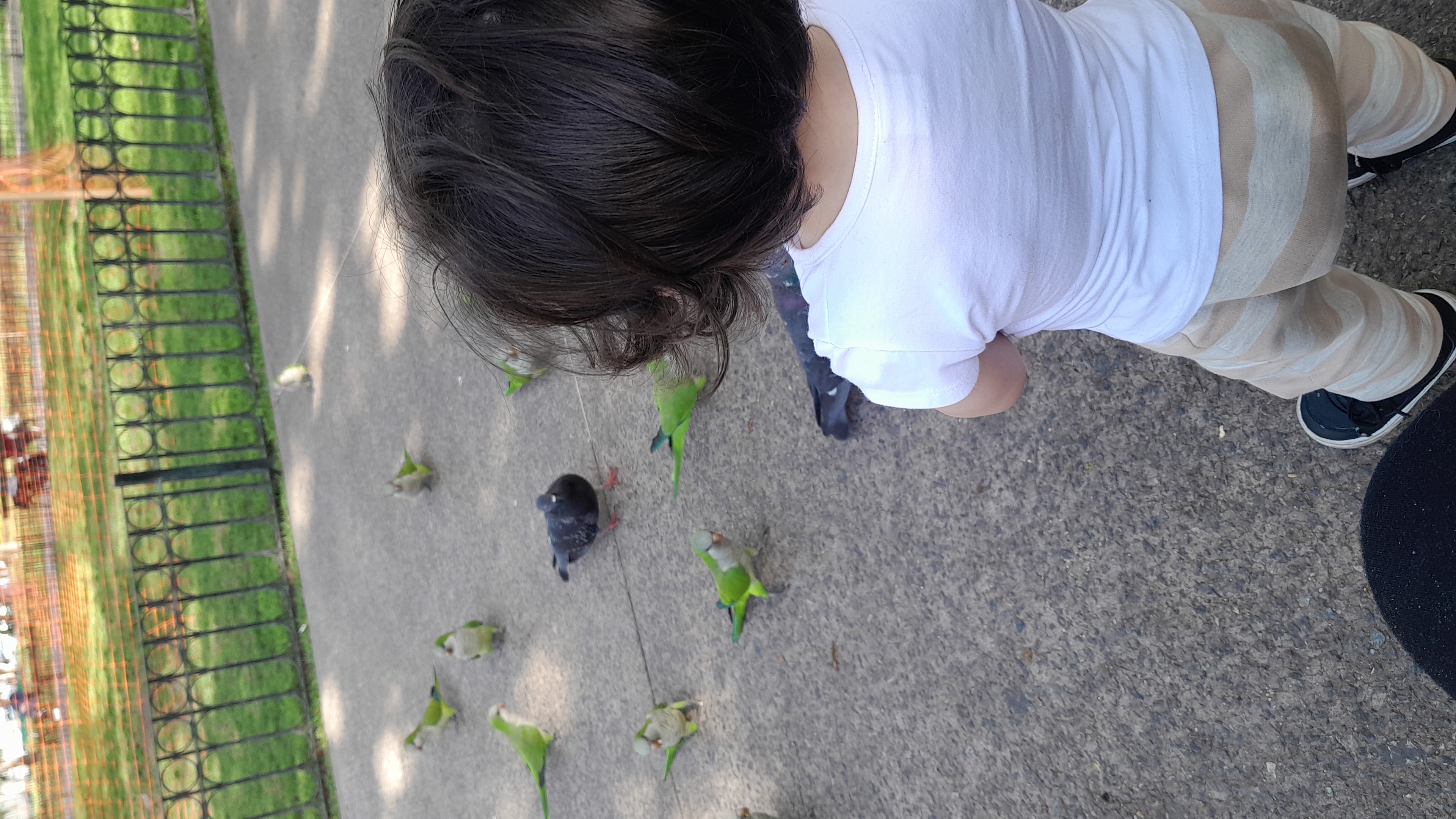 IMG-20250917-WA0074.jpeg