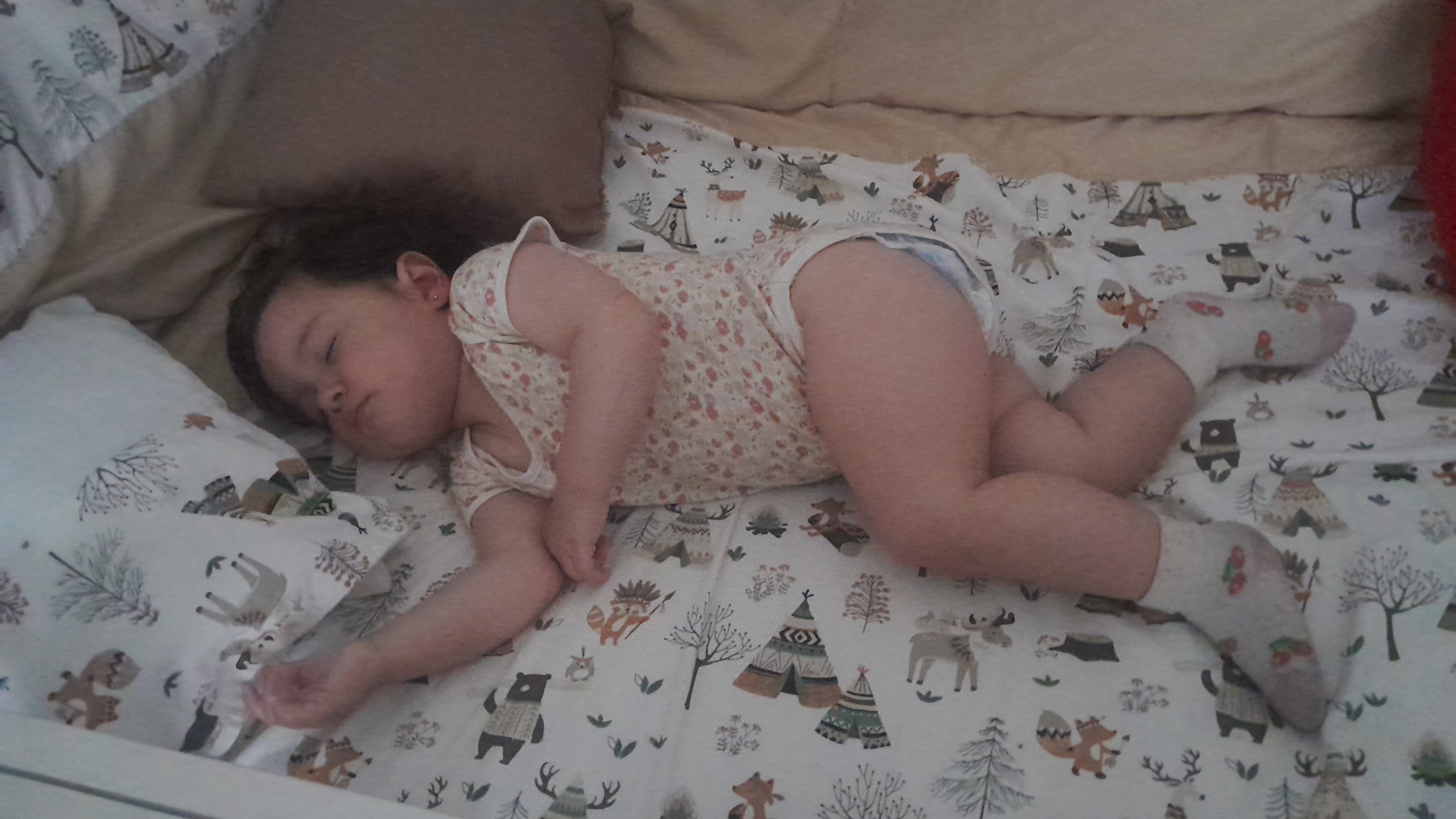 IMG-20250918-WA0054.jpeg