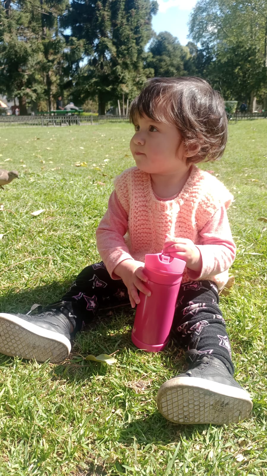 IMG-20250924-WA0032.jpg