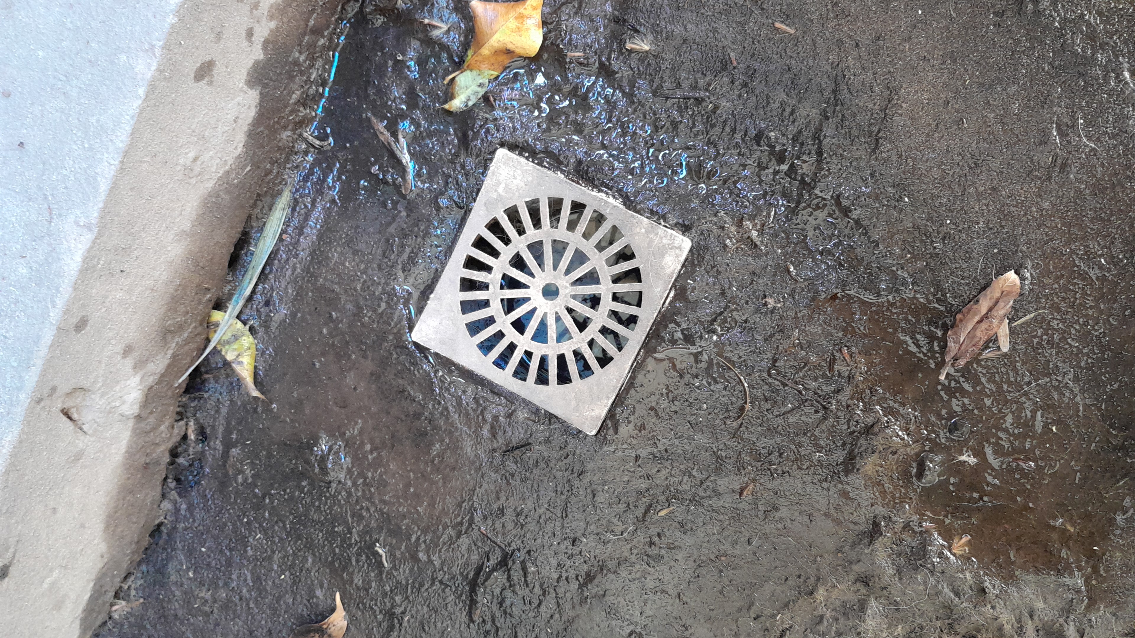 IMG-20250925-WA0090.jpeg