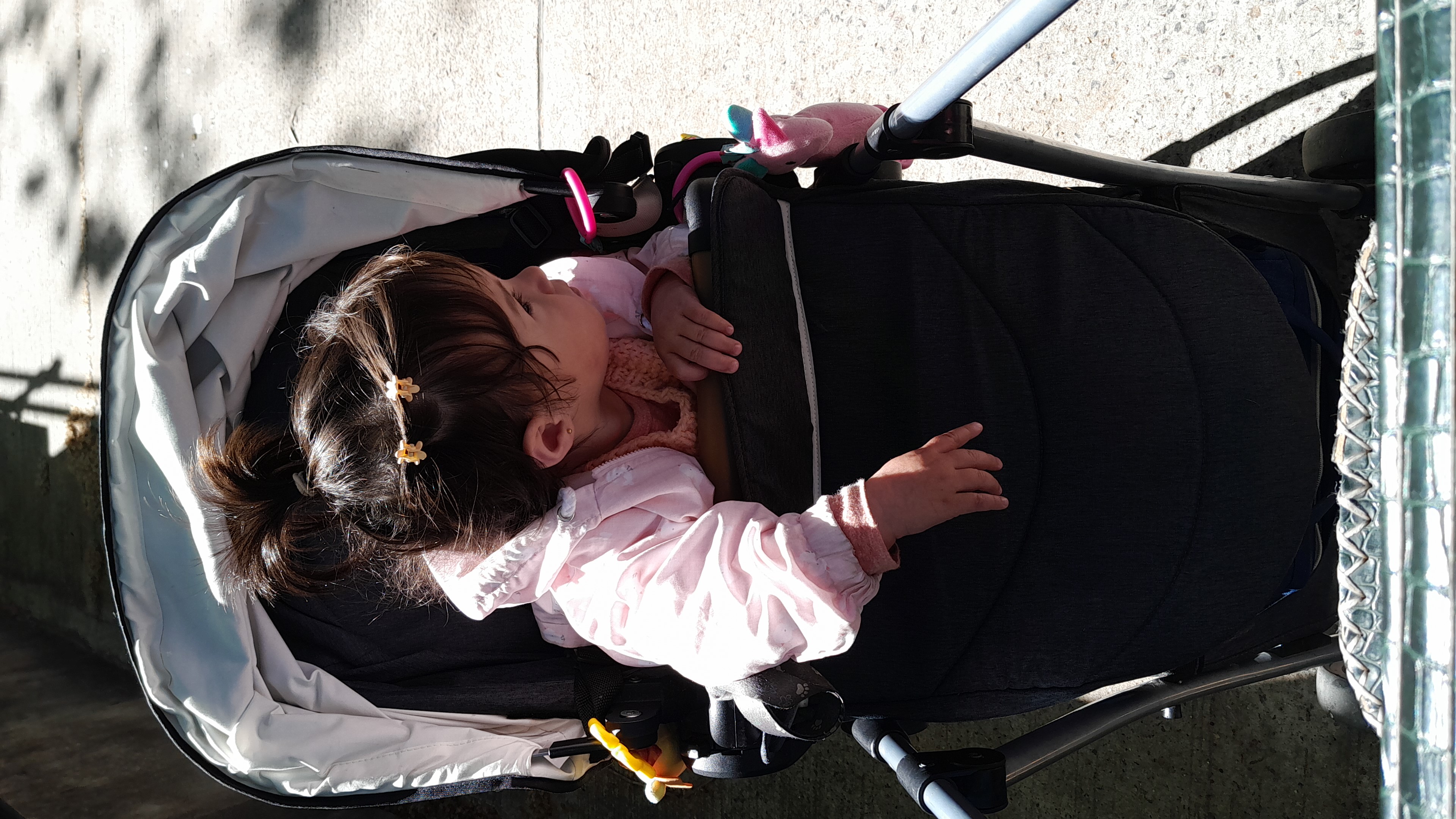 IMG-20250925-WA0100.jpeg
