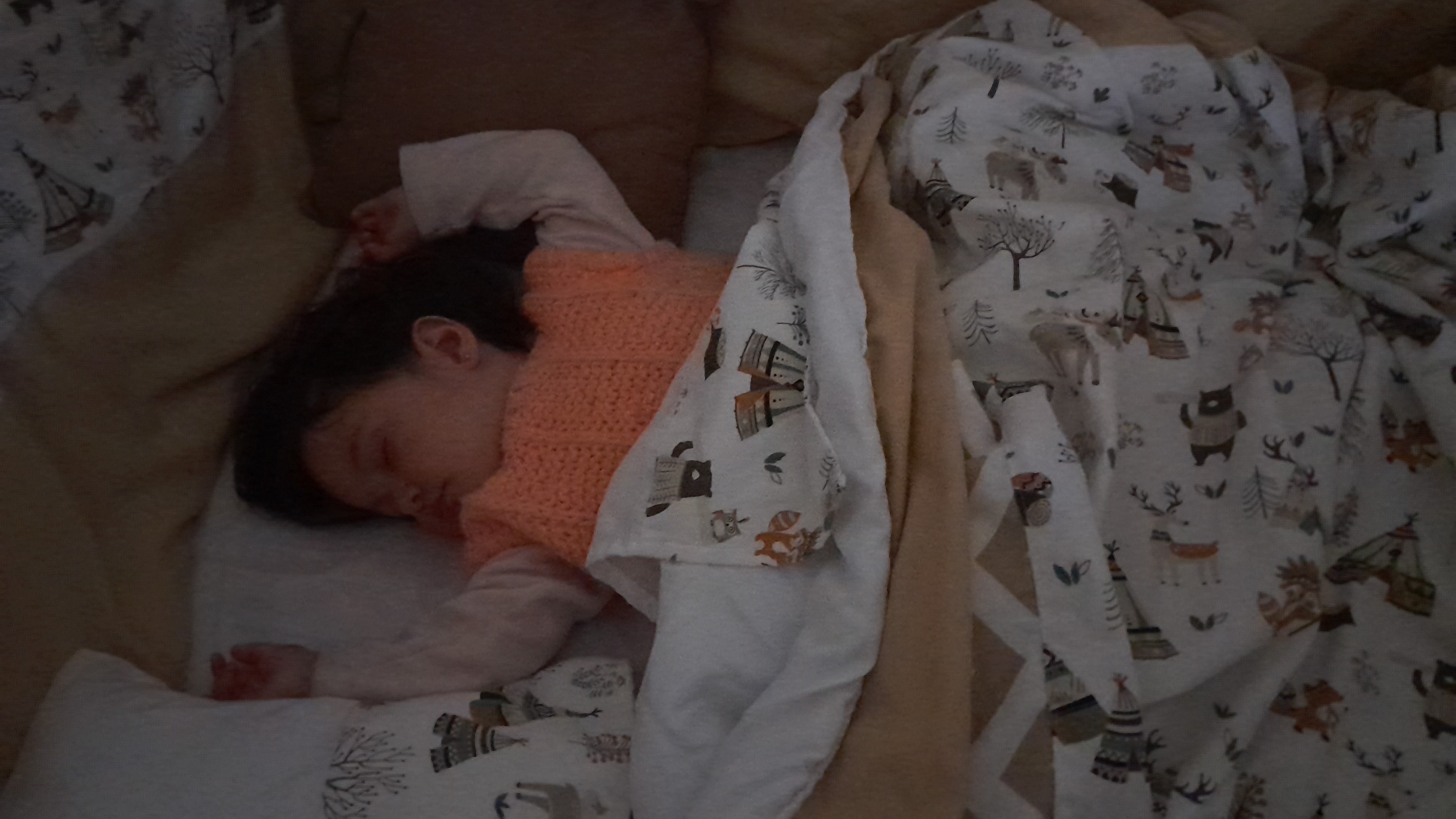 IMG-20250926-WA0007.jpeg