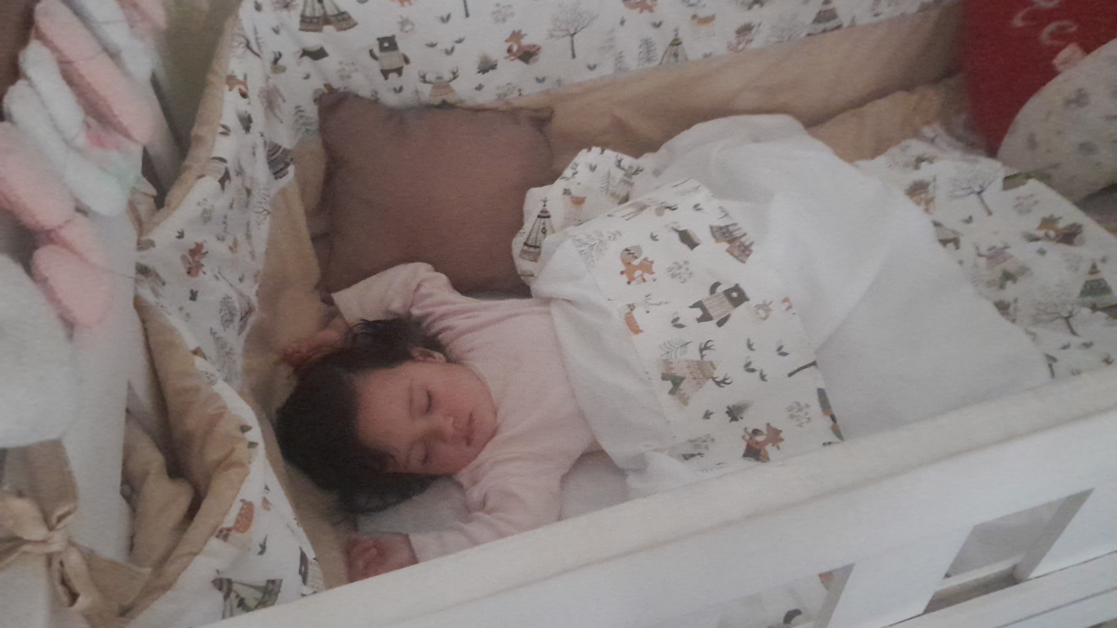 IMG-20250926-WA0064.jpeg