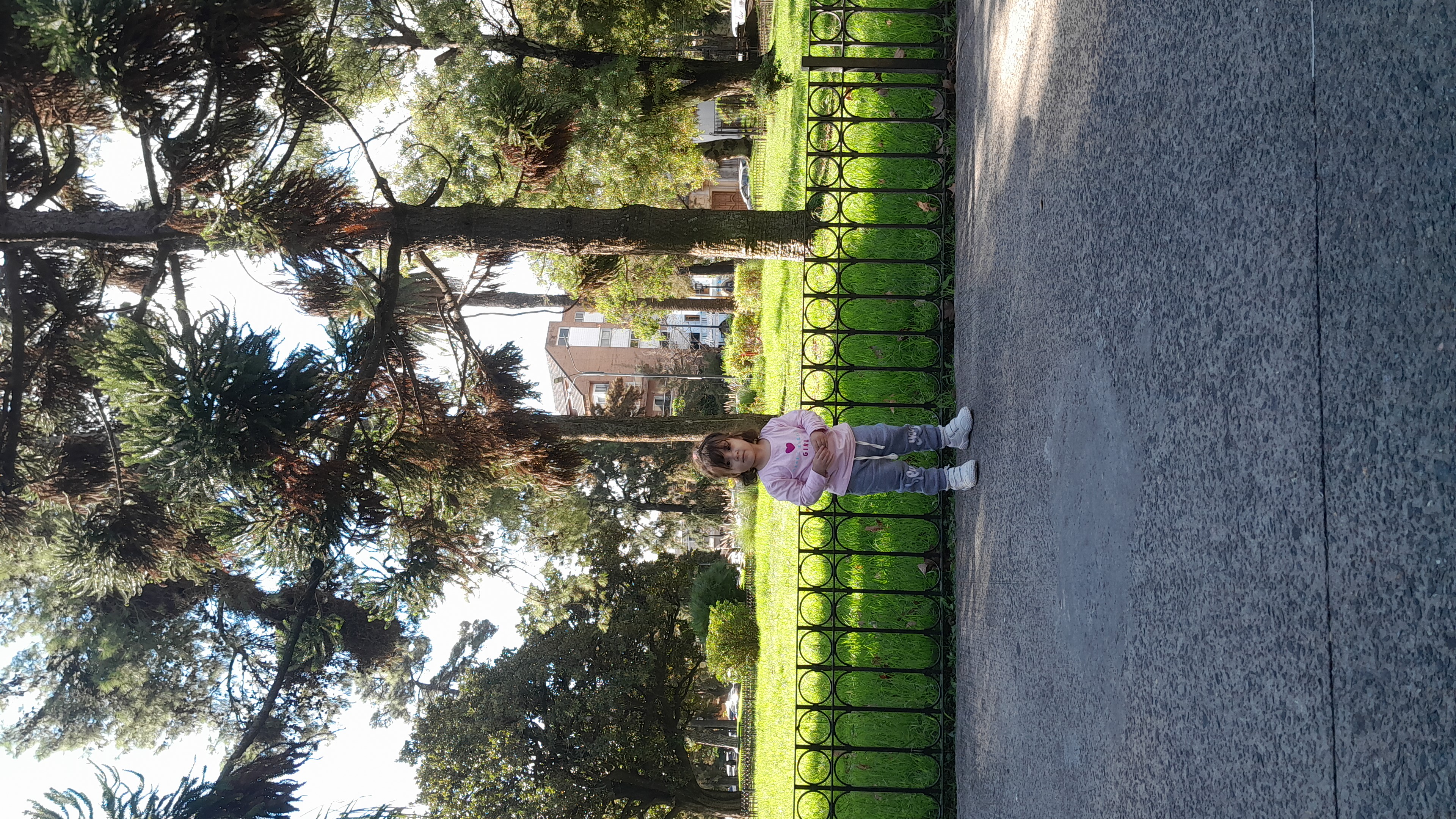 IMG-20260409-WA0108.jpeg