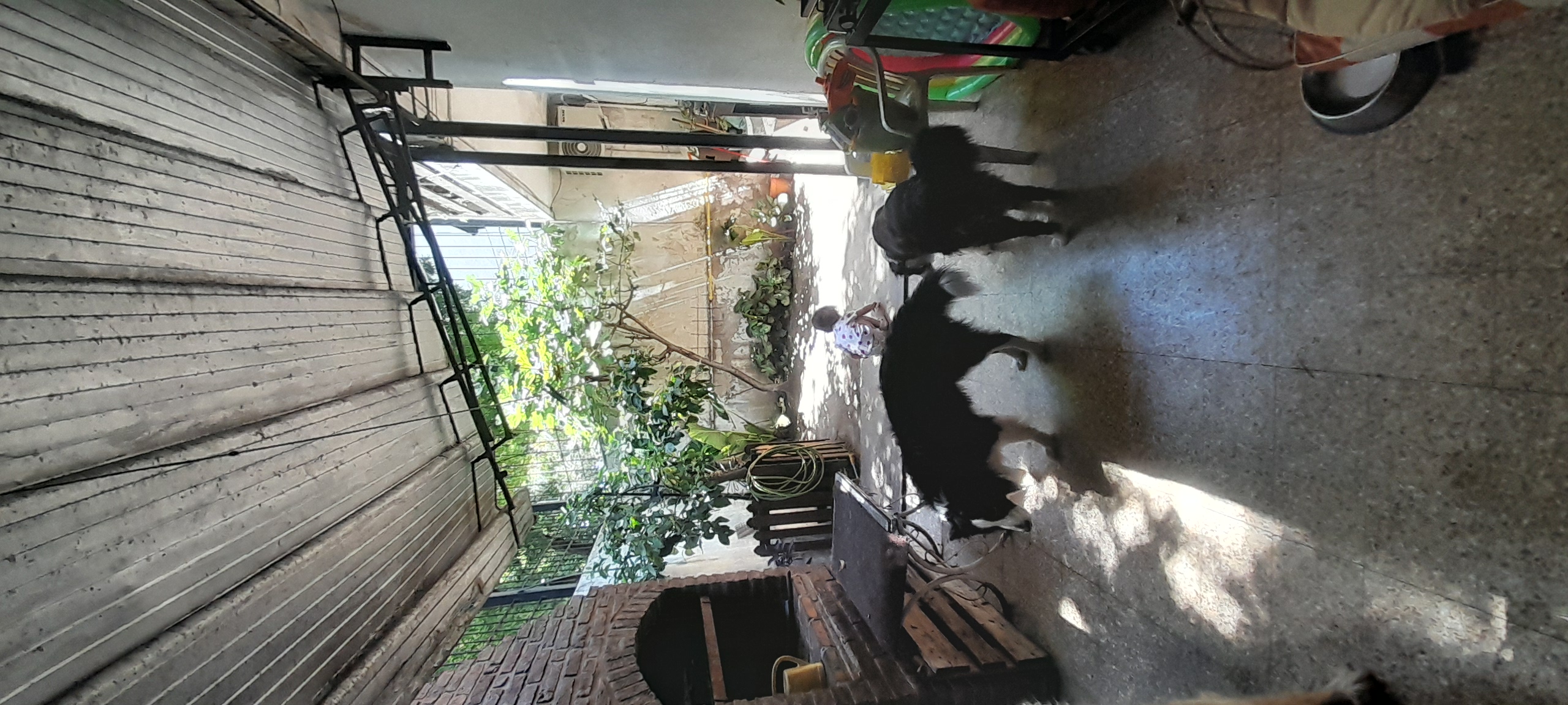 20260103_120411.jpg