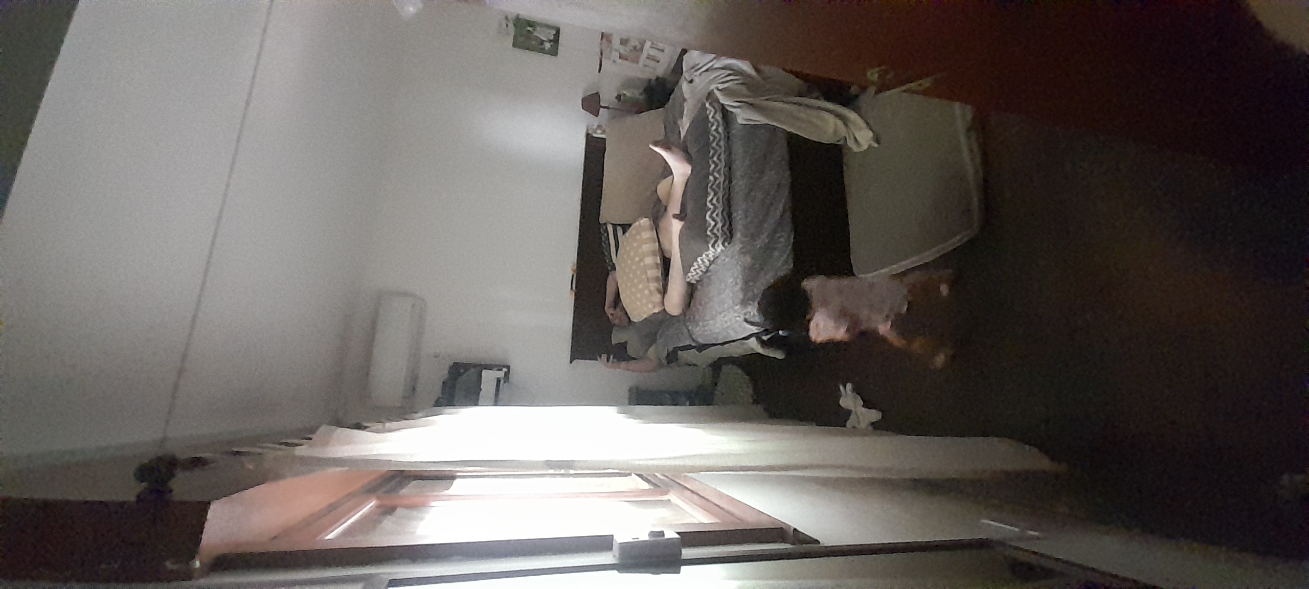 20260103_145329.jpg